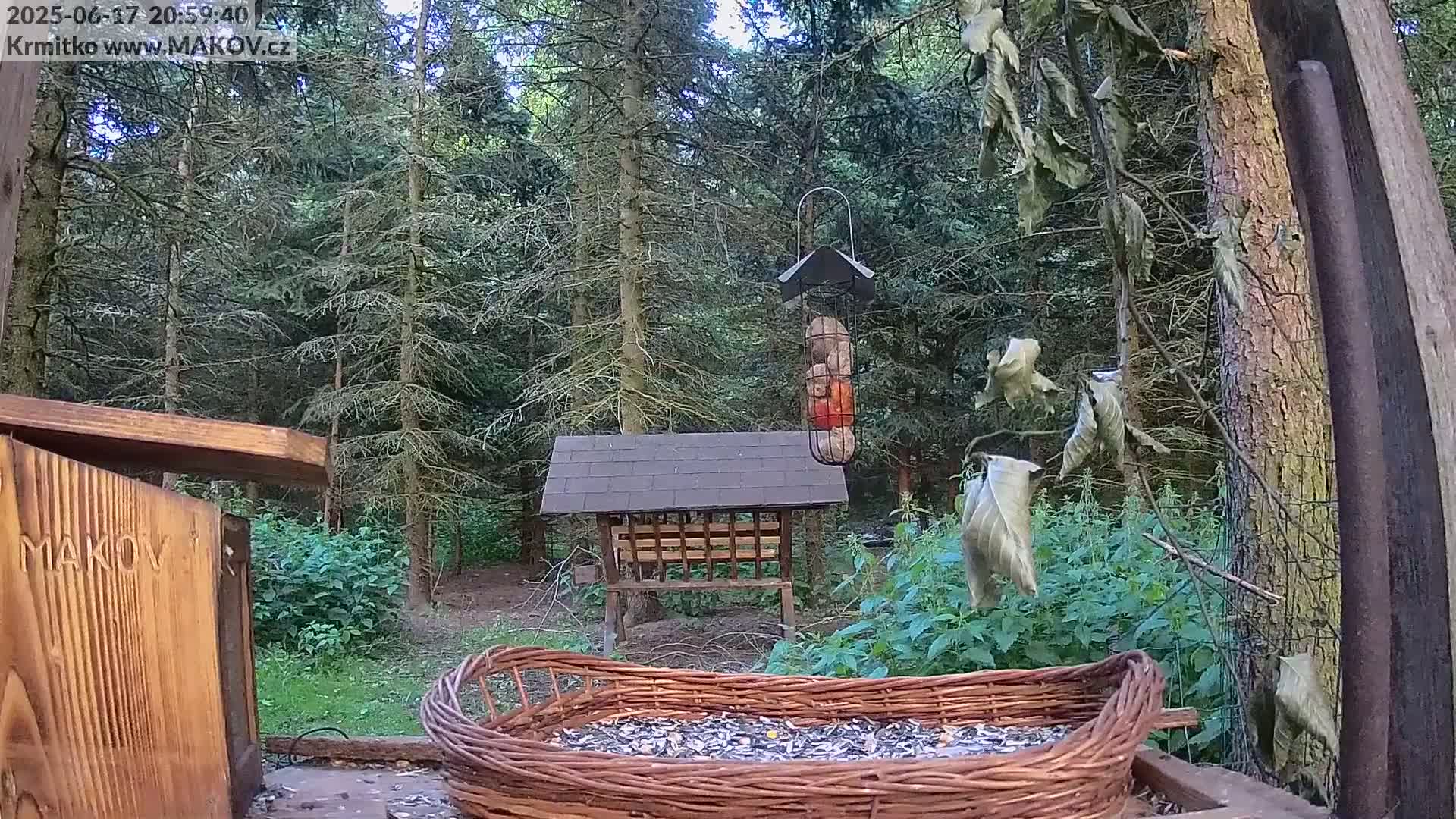 A wicker basket filled with birdseed sits in front of several bird feeders in a wooded area under a partly cloudy sky.