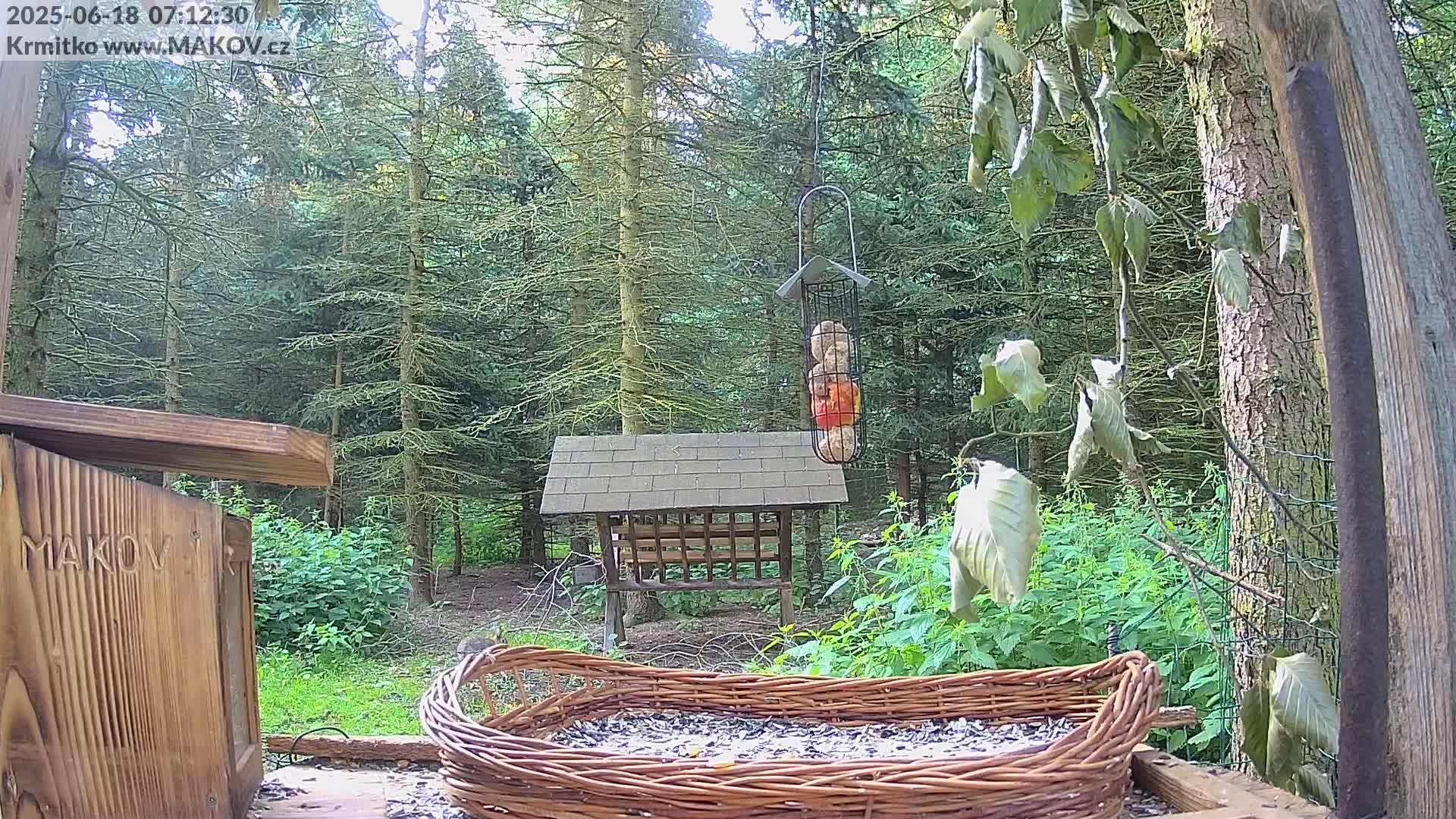 Pisek, Makov Animal Rescue Station Live Cam - Cizova, Pisek, Juhočeský Kraj (South Bohemian), Czechia
