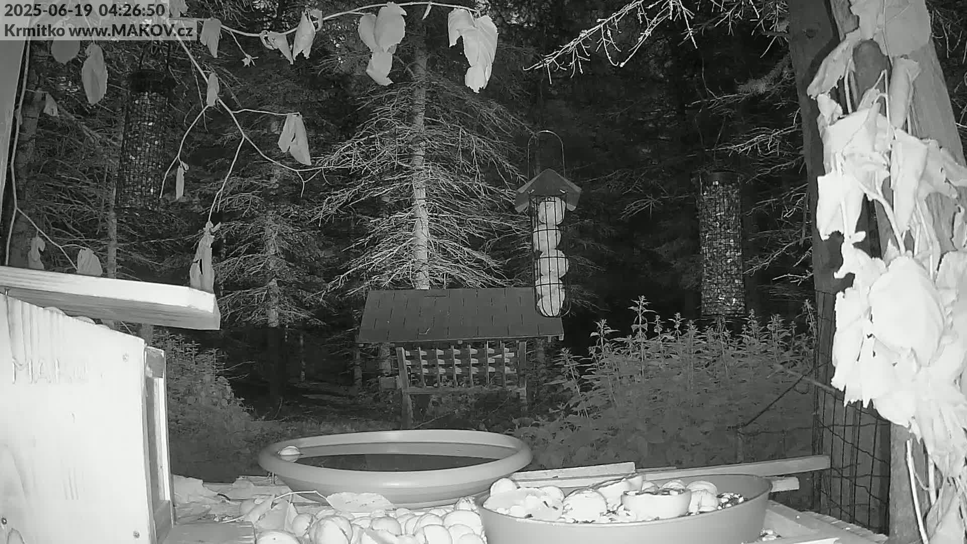 Pisek, Makov Animal Rescue Station Live Cam - Cizova, Pisek, Juhočeský Kraj (South Bohemian), Czechia