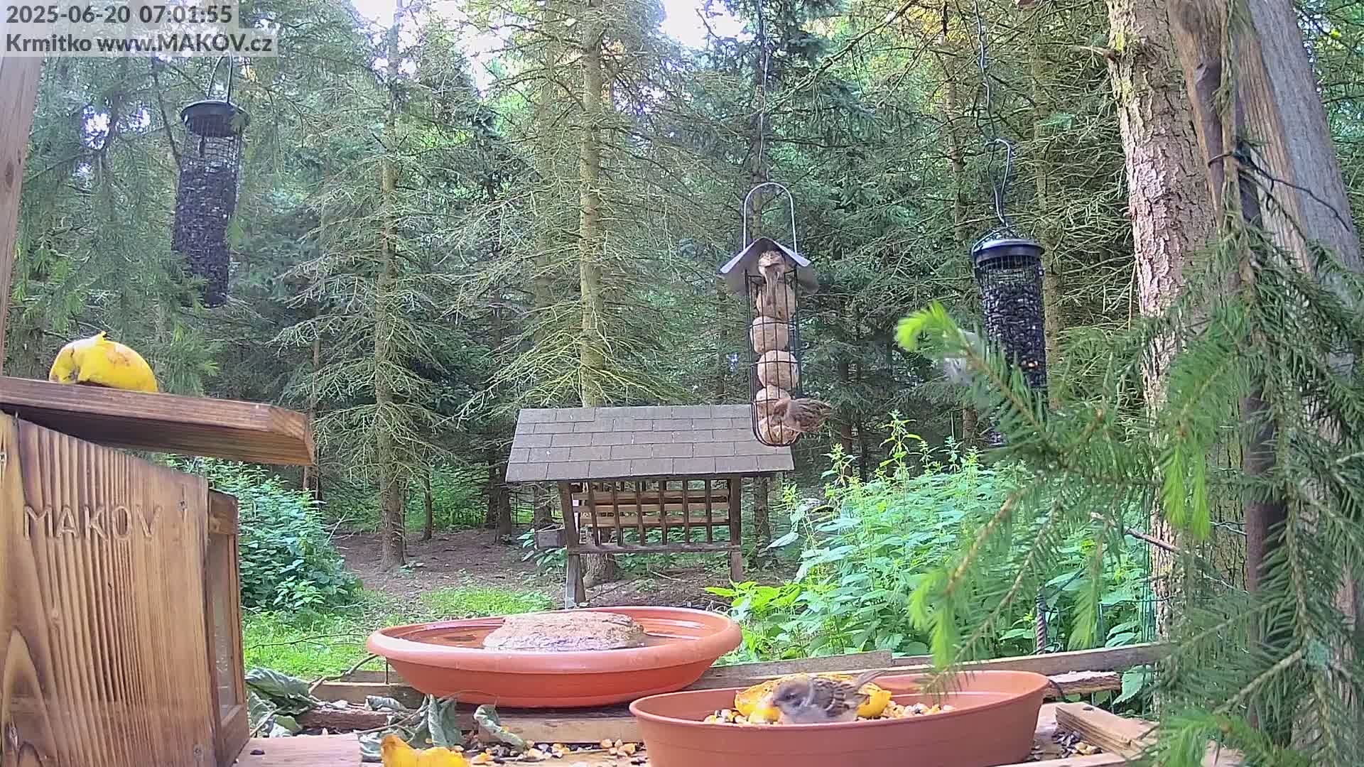 Pisek, Makov Animal Rescue Station Live Cam - Cizova, Pisek, Juhočeský Kraj (South Bohemian), Czechia
