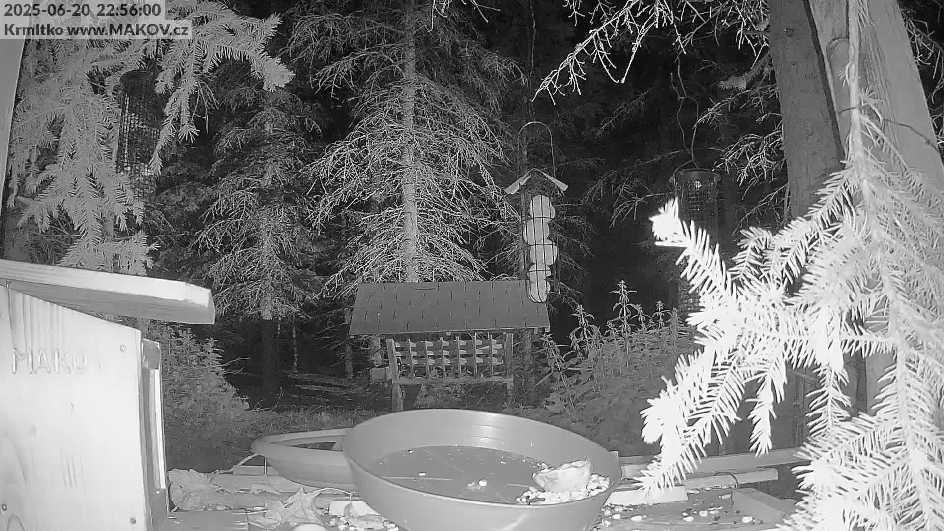 Pisek, Makov Animal Rescue Station Live Cam - Cizova, Pisek, Juhočeský Kraj (South Bohemian), Czechia