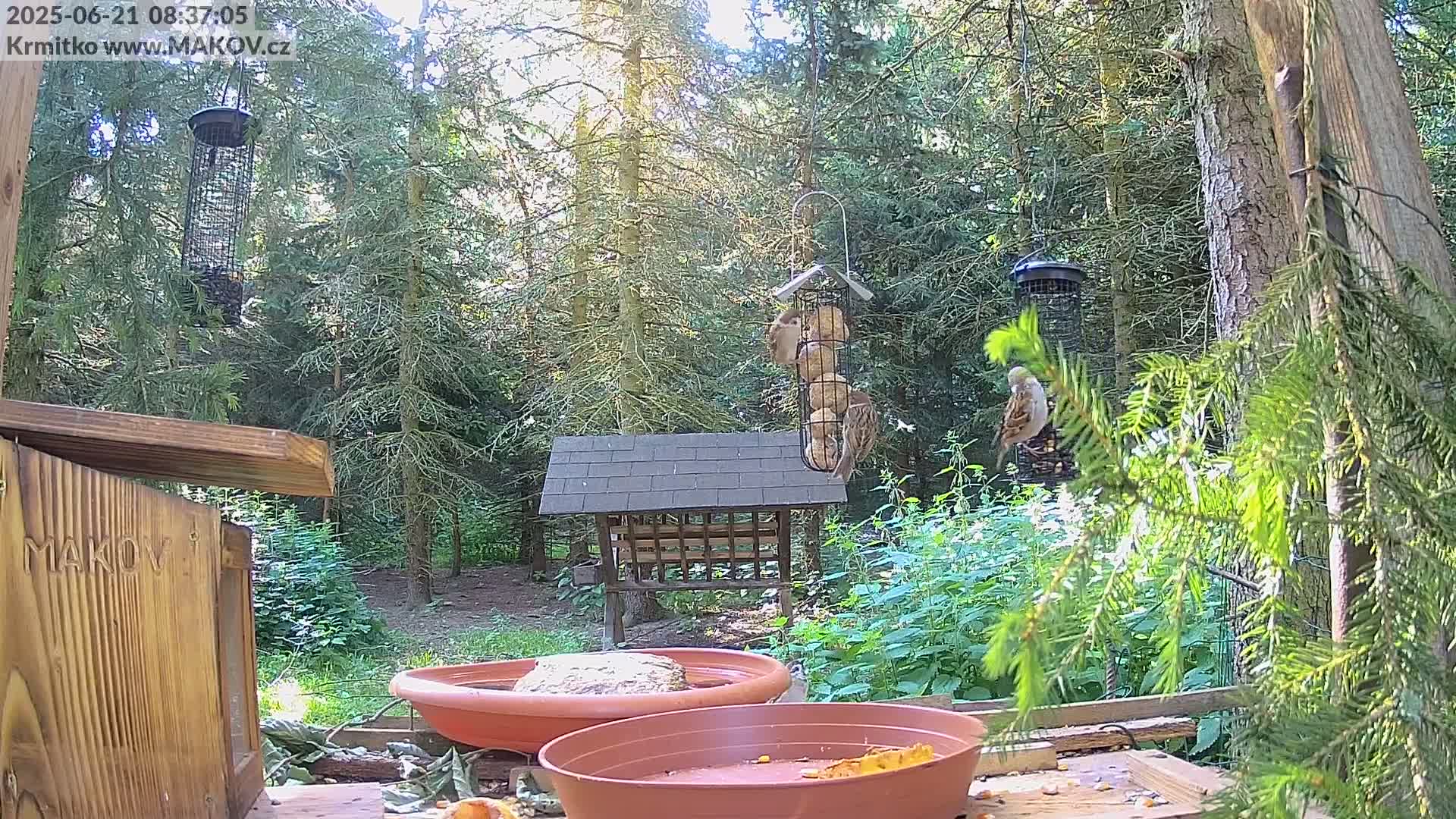 Pisek, Makov Animal Rescue Station Live Cam - Cizova, Pisek, Juhočeský Kraj (South Bohemian), Czechia