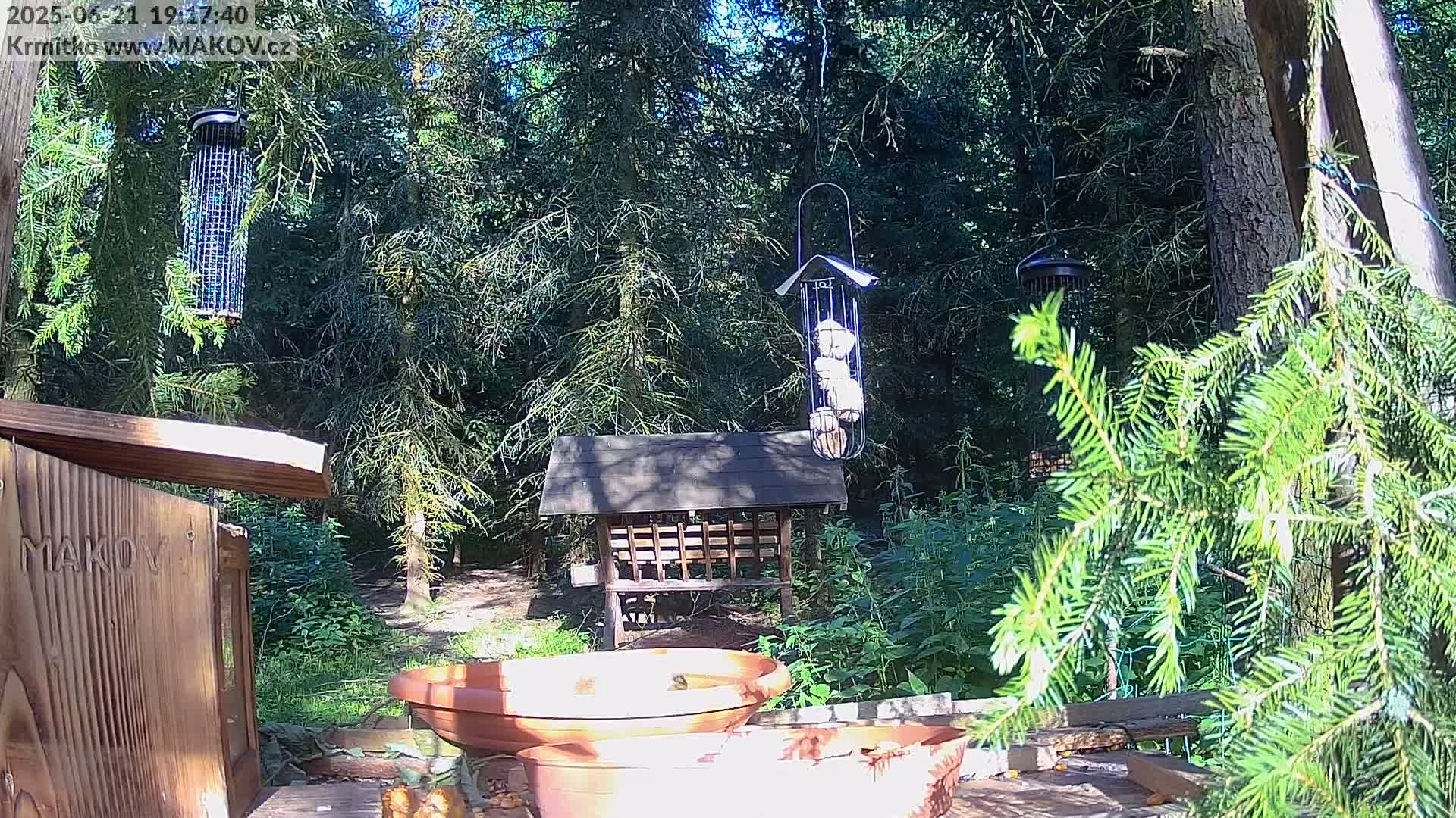A sunny outdoor scene shows various bird feeders and a bird bath situated on a wooden platform in a lush green forest.