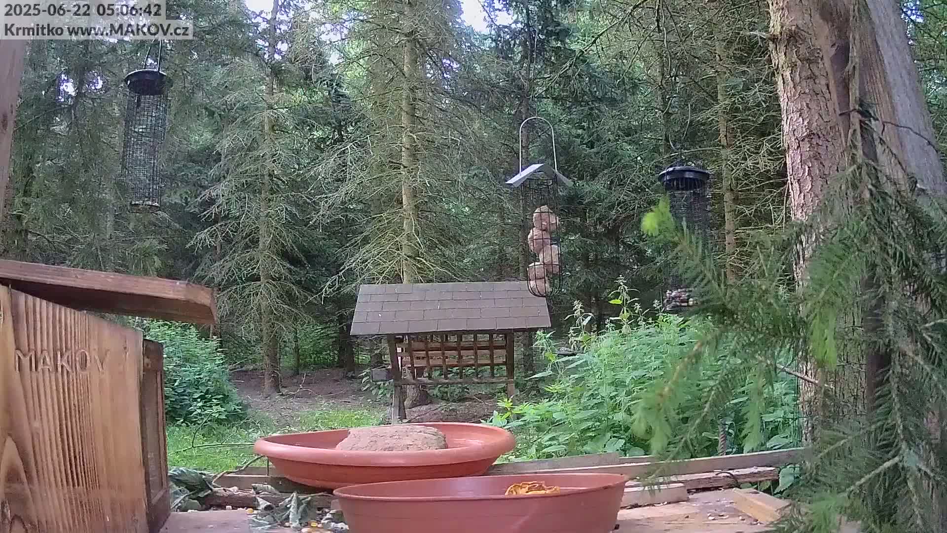 Pisek, Makov Animal Rescue Station Live Cam - Cizova, Pisek, Juhočeský Kraj (South Bohemian), Czechia