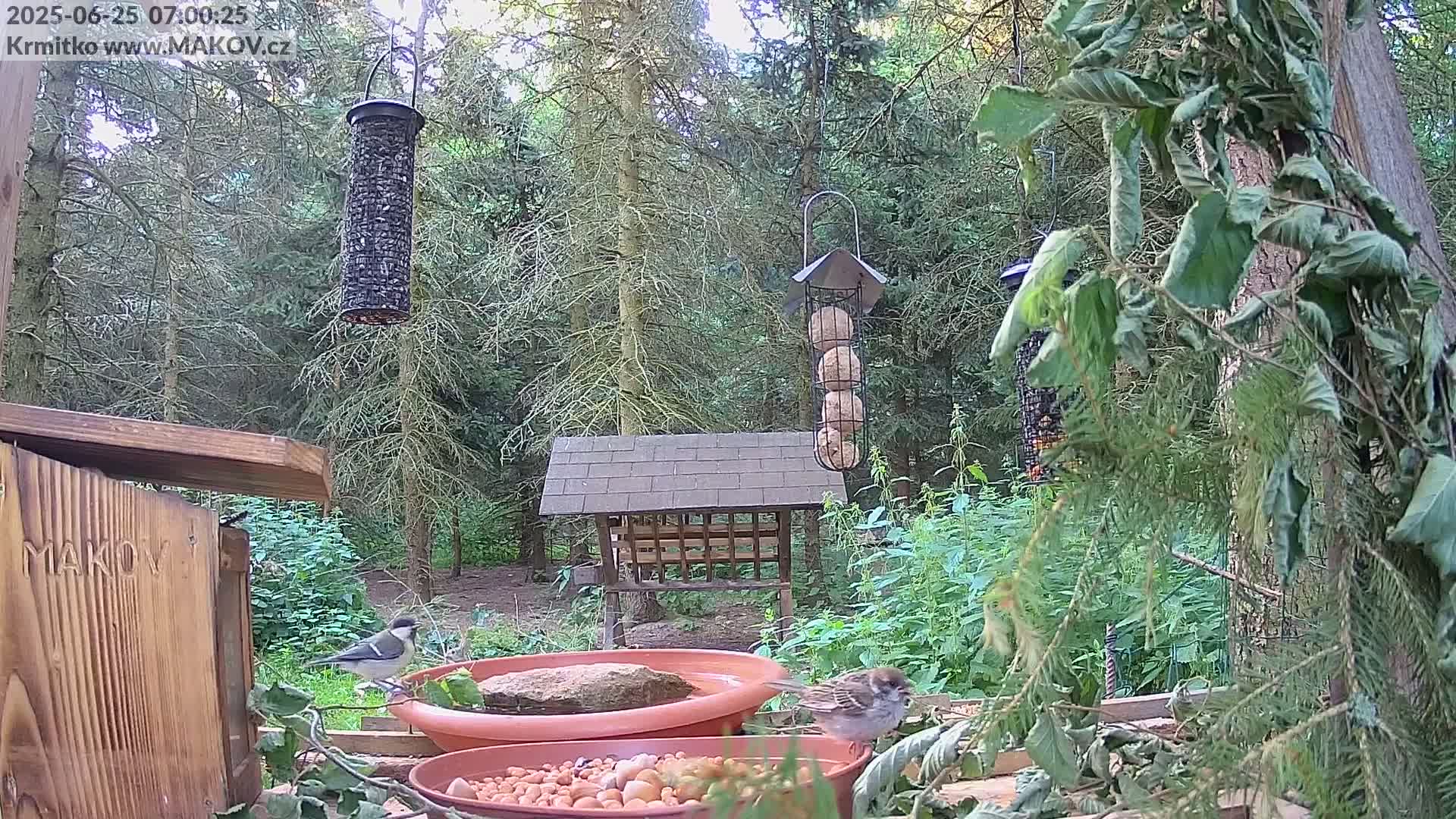 Pisek, Makov Animal Rescue Station Live Cam - Cizova, Pisek, Juhočeský Kraj (South Bohemian), Czechia