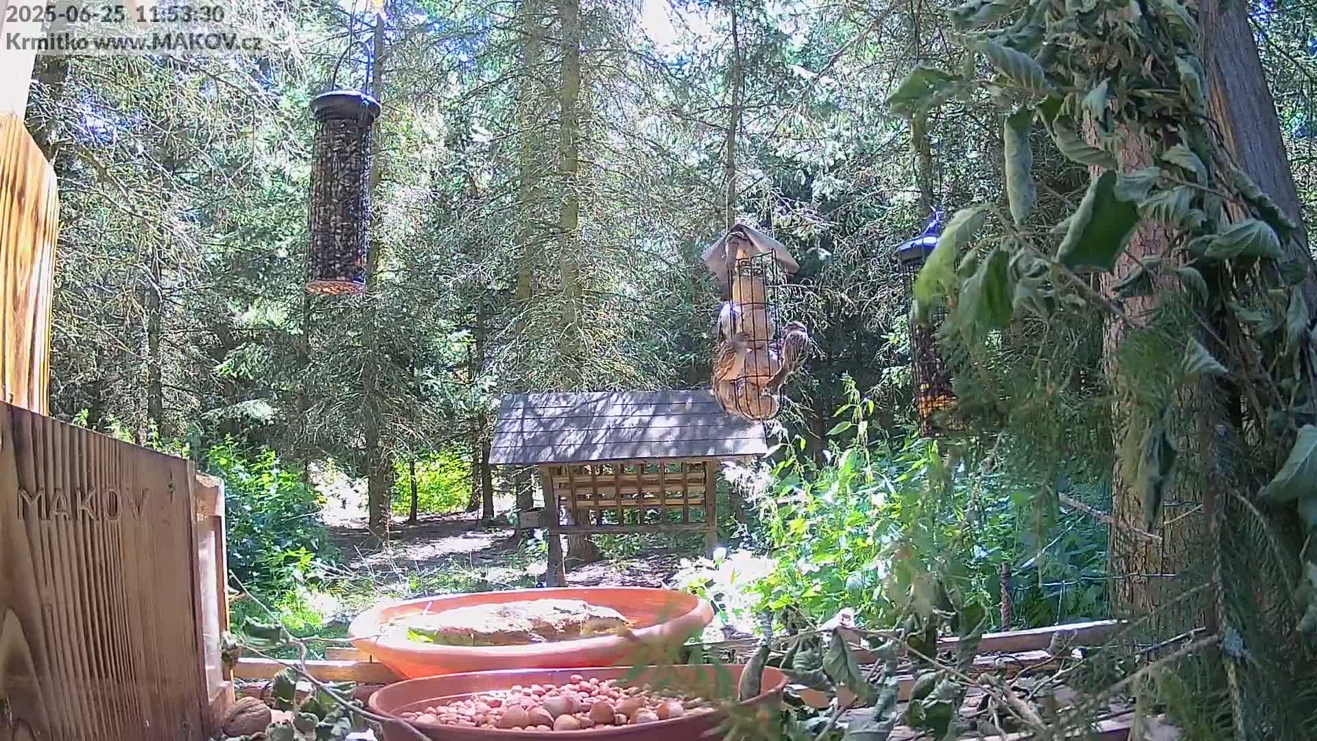 Pisek, Makov Animal Rescue Station Live Cam - Cizova, Pisek, Juhočeský Kraj (South Bohemian), Czechia