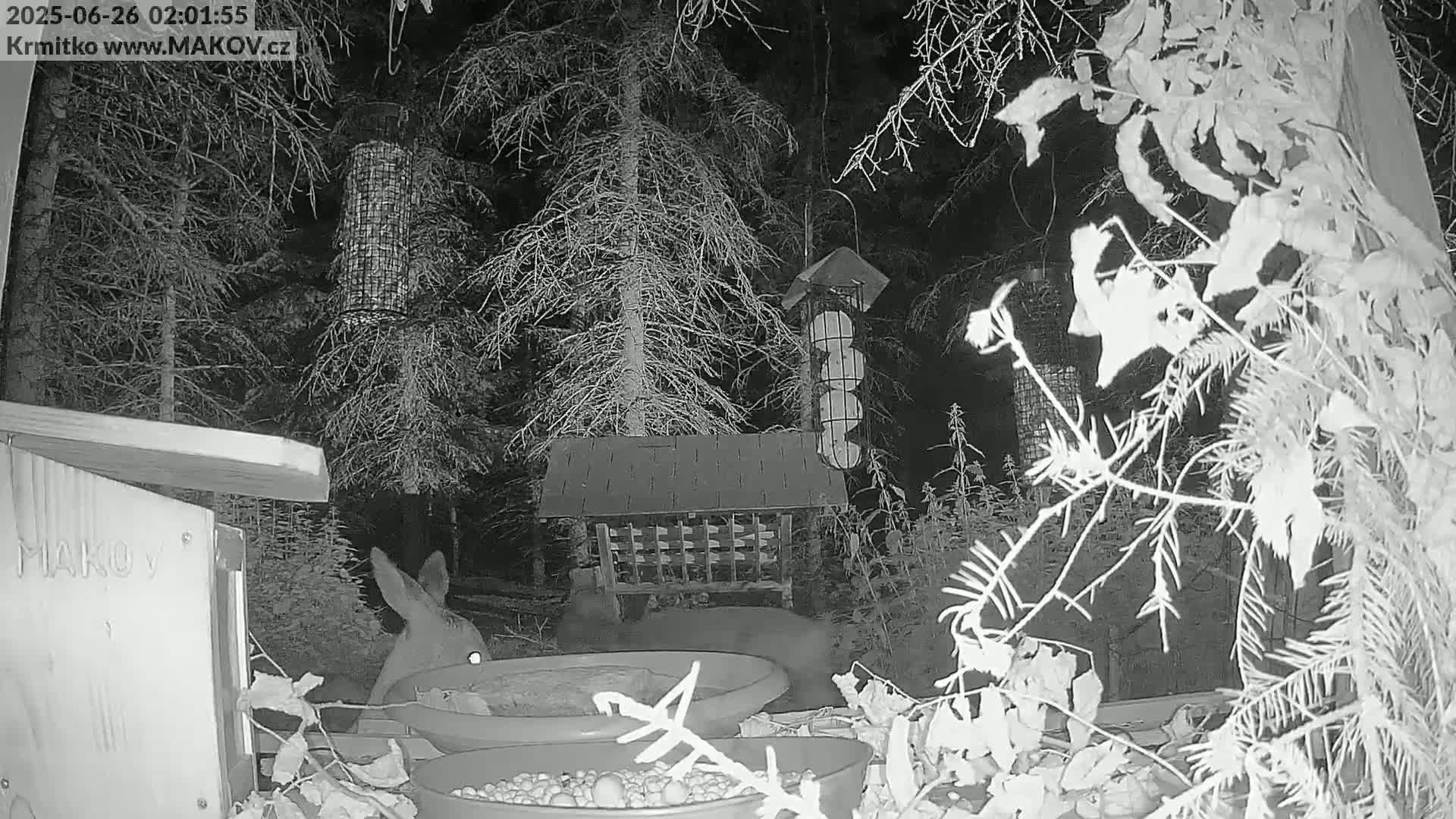 Pisek, Makov Animal Rescue Station Live Cam - Cizova, Pisek, Juhočeský Kraj (South Bohemian), Czechia