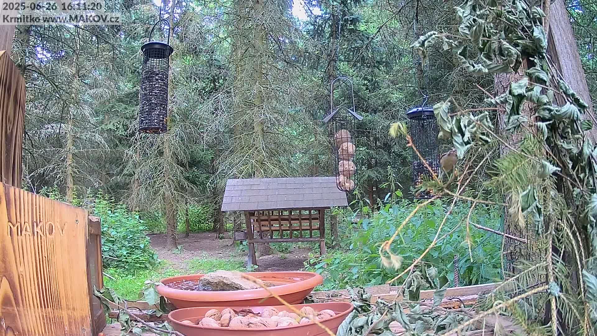 Pisek, Makov Animal Rescue Station Live Cam - Cizova, Pisek, Juhočeský Kraj (South Bohemian), Czechia