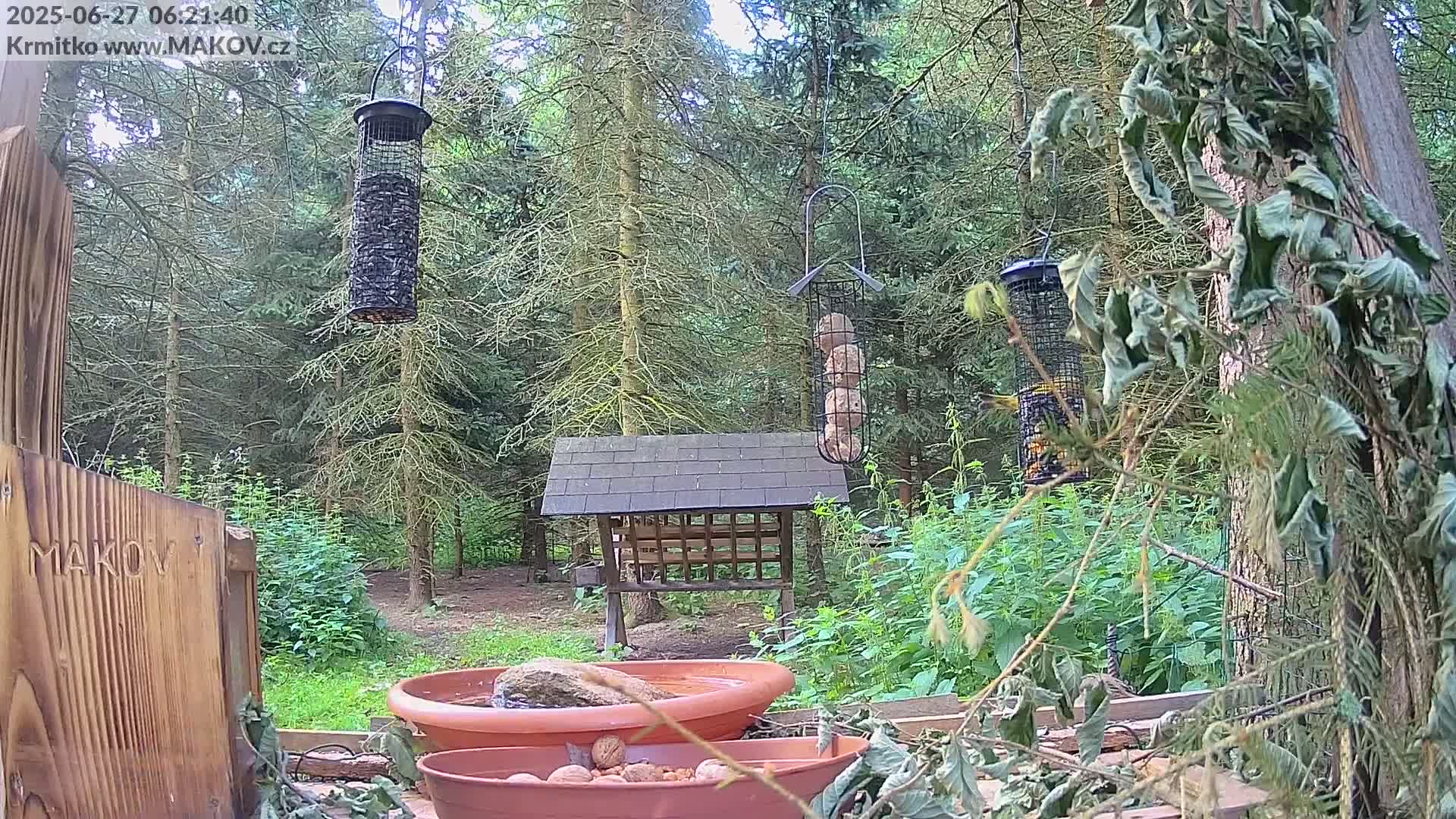 Pisek, Makov Animal Rescue Station Live Cam - Cizova, Pisek, Juhočeský Kraj (South Bohemian), Czechia