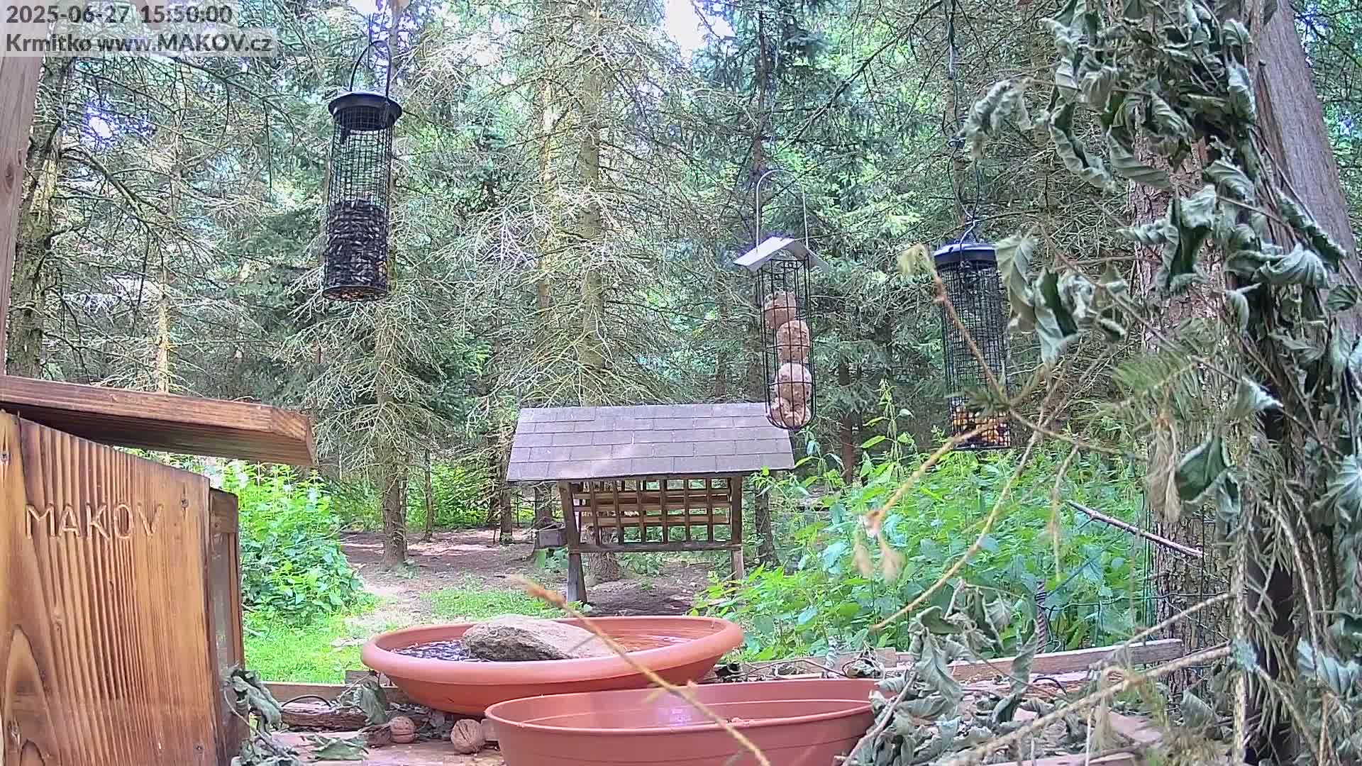 Pisek, Makov Animal Rescue Station Live Cam - Cizova, Pisek, Juhočeský Kraj (South Bohemian), Czechia