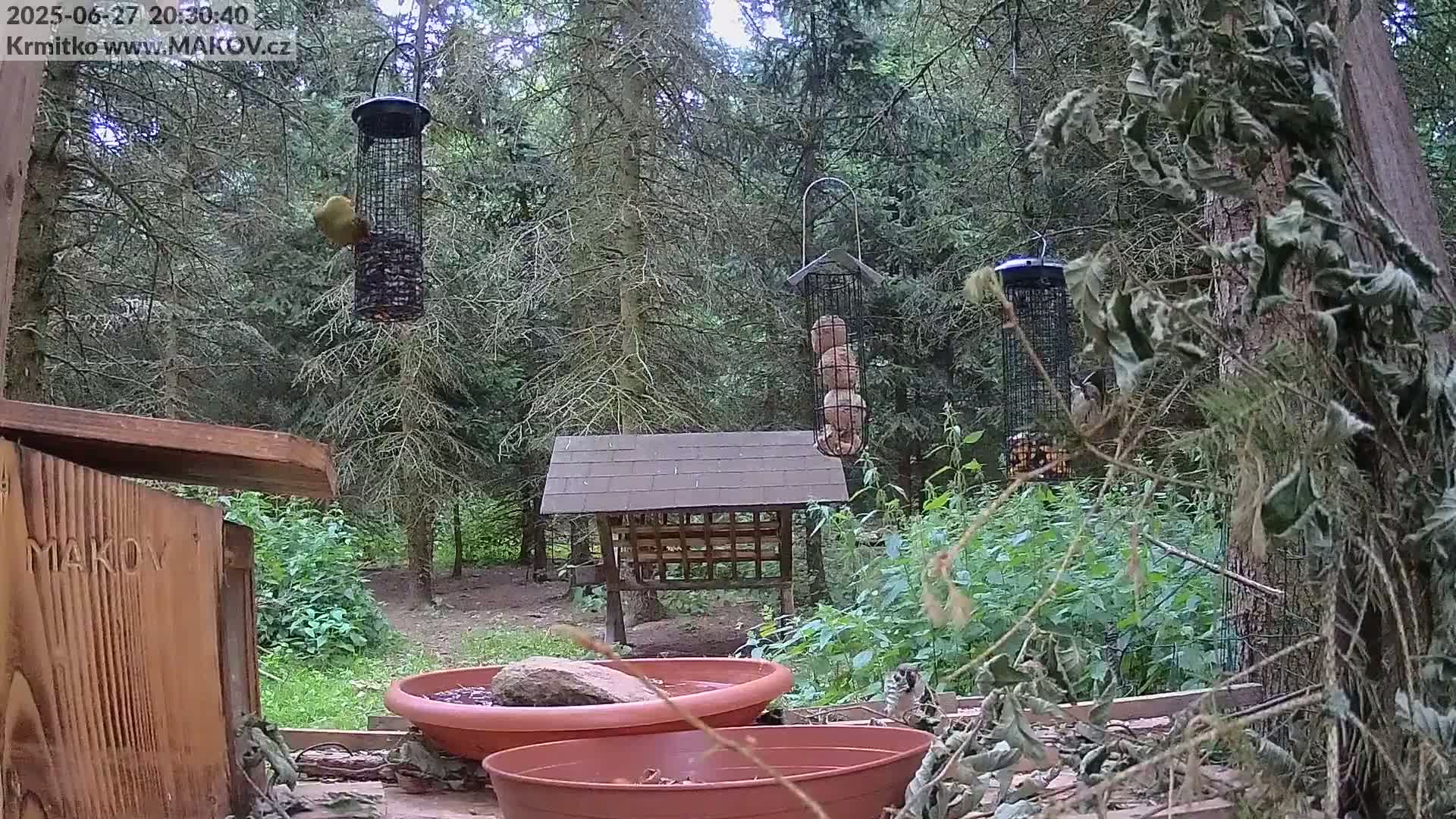 Pisek, Makov Animal Rescue Station Live Cam - Cizova, Pisek, Juhočeský Kraj (South Bohemian), Czechia