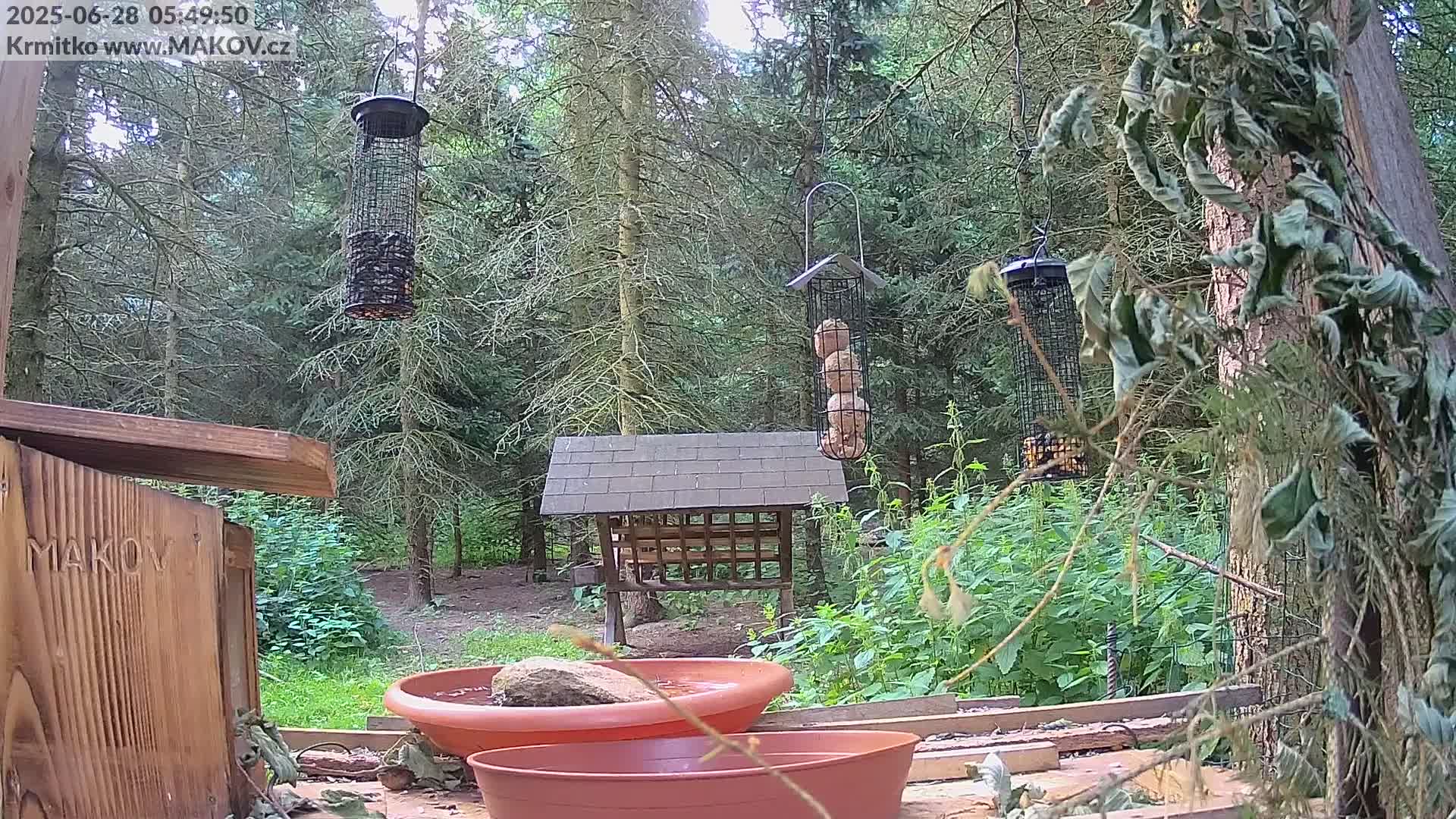 Pisek, Makov Animal Rescue Station Live Cam - Cizova, Pisek, Juhočeský Kraj (South Bohemian), Czechia