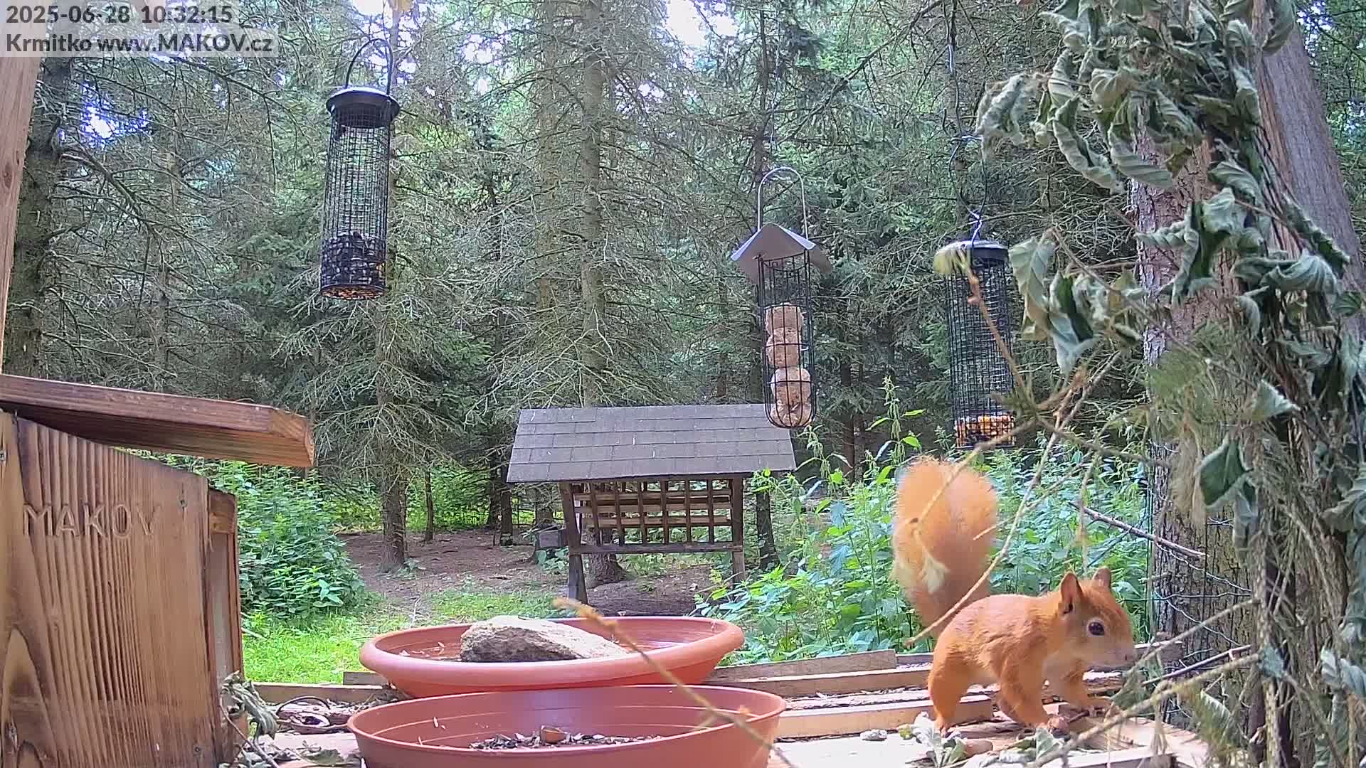 Pisek, Makov Animal Rescue Station Live Cam - Cizova, Pisek, Juhočeský Kraj (South Bohemian), Czechia