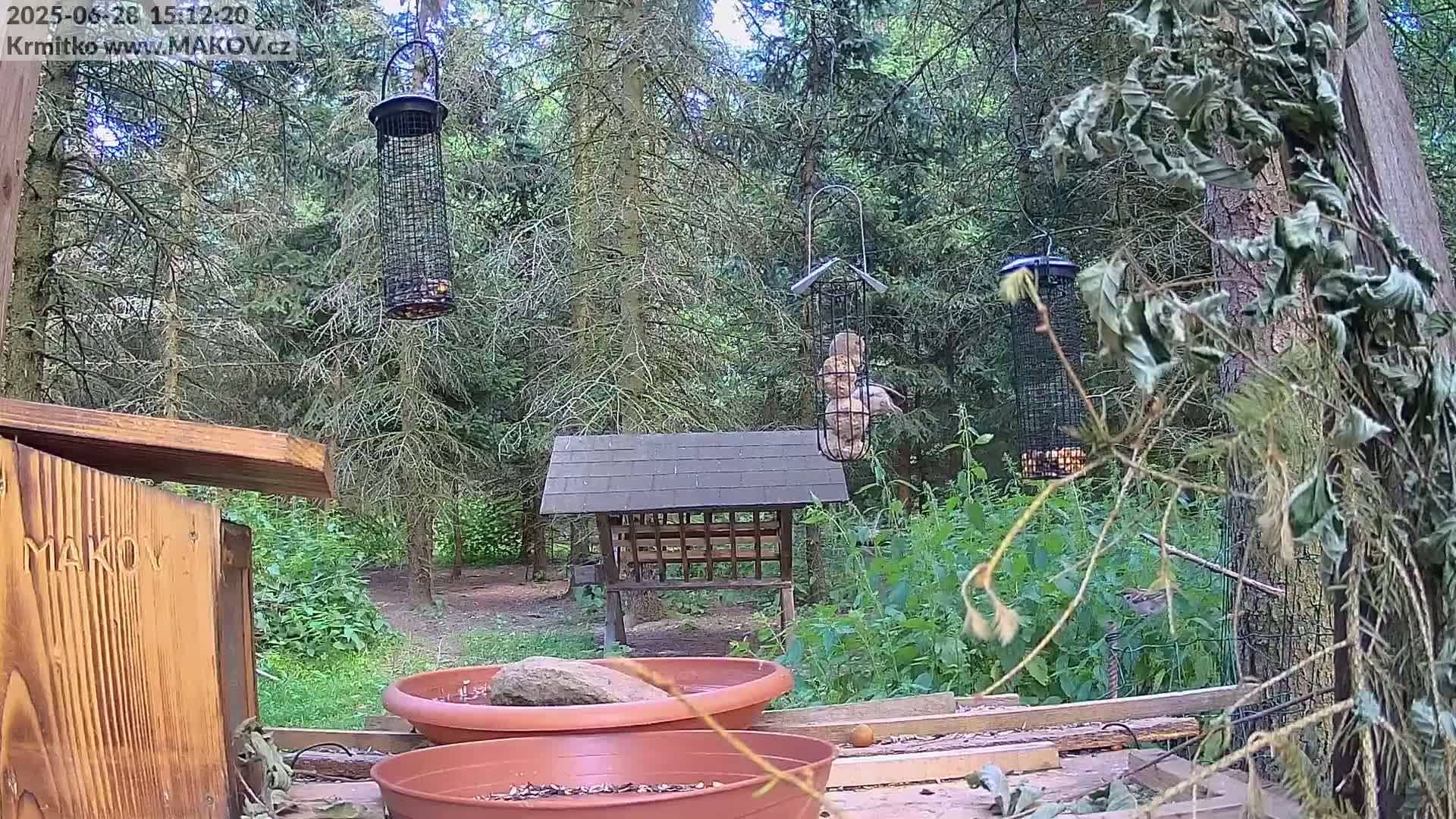 Pisek, Makov Animal Rescue Station Live Cam - Cizova, Pisek, Juhočeský Kraj (South Bohemian), Czechia
