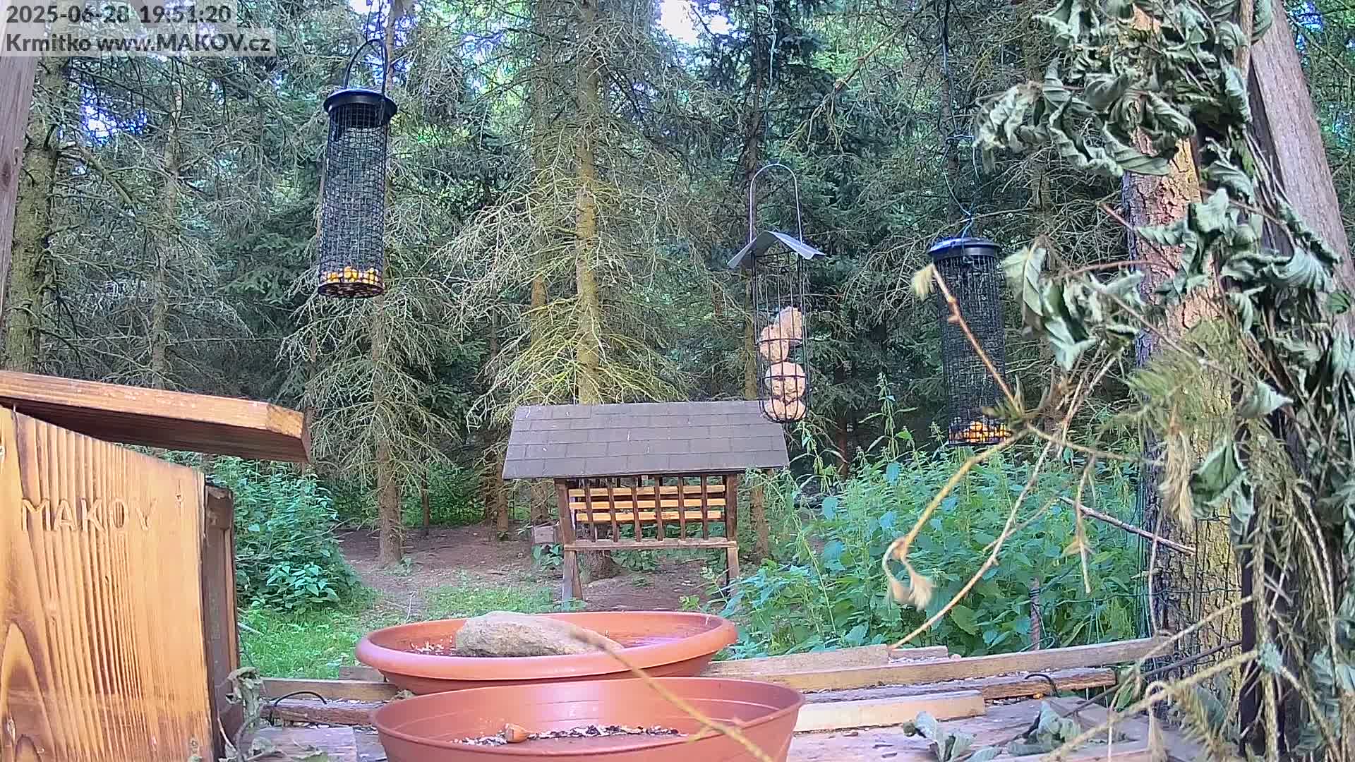 Pisek, Makov Animal Rescue Station Live Cam - Cizova, Pisek, Juhočeský Kraj (South Bohemian), Czechia