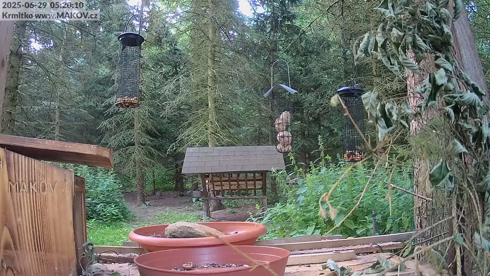 Pisek, Makov Animal Rescue Station Live Cam - Cizova, Pisek, Juhočeský Kraj (South Bohemian), Czechia