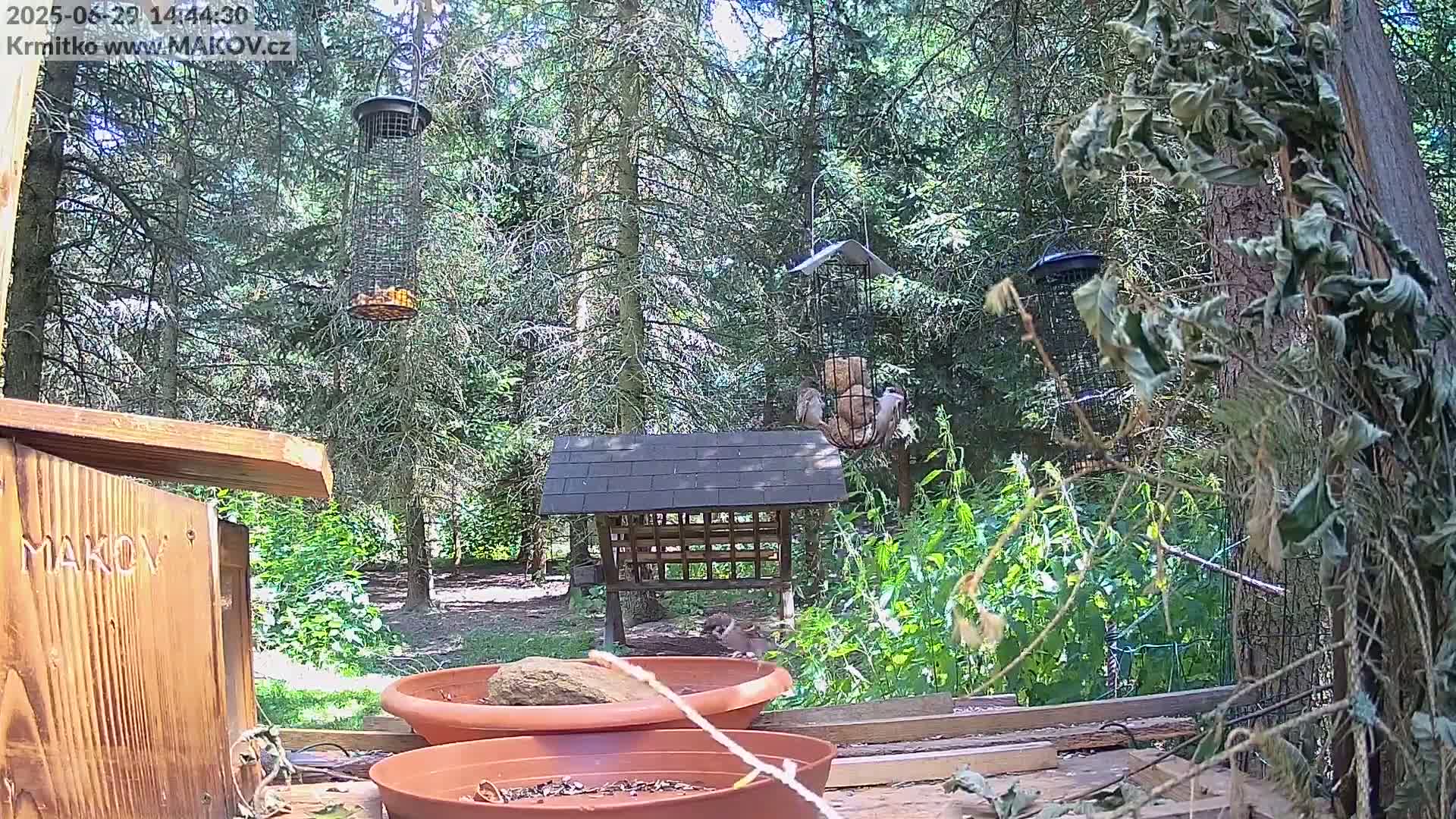 Pisek, Makov Animal Rescue Station Live Cam - Cizova, Pisek, Juhočeský Kraj (South Bohemian), Czechia