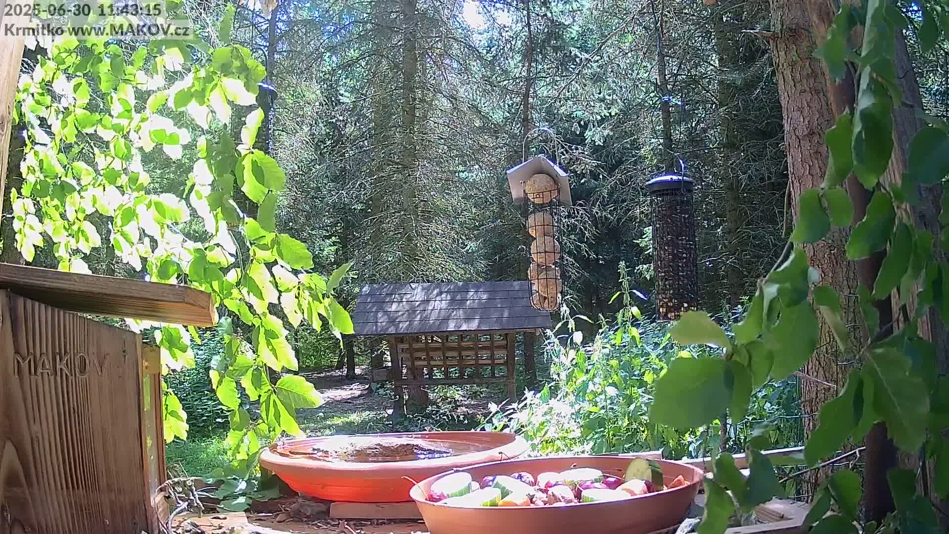Pisek, Makov Animal Rescue Station Live Cam - Cizova, Pisek, Juhočeský Kraj (South Bohemian), Czechia