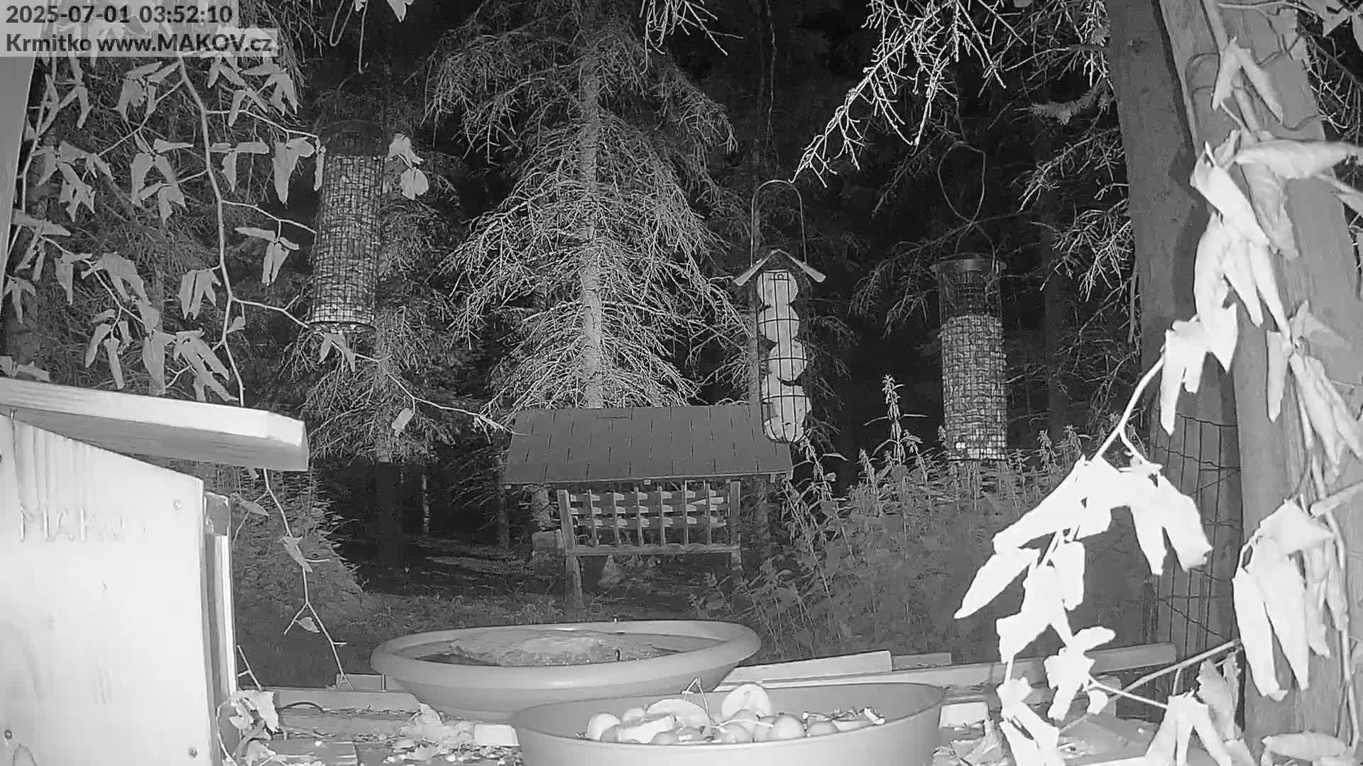 Pisek, Makov Animal Rescue Station Live Cam - Cizova, Pisek, Juhočeský Kraj (South Bohemian), Czechia