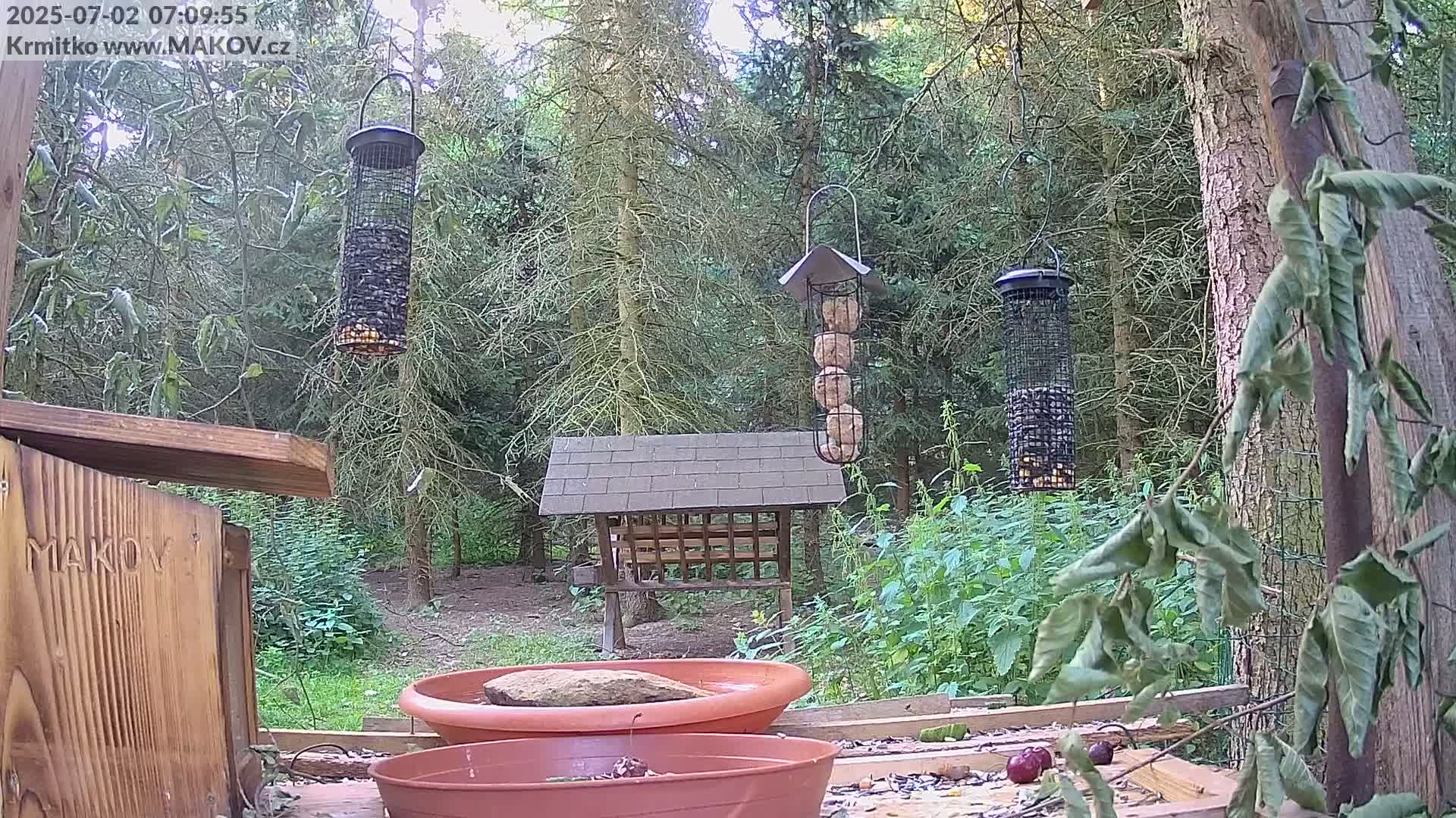 Pisek, Makov Animal Rescue Station Live Cam - Cizova, Pisek, Juhočeský Kraj (South Bohemian), Czechia