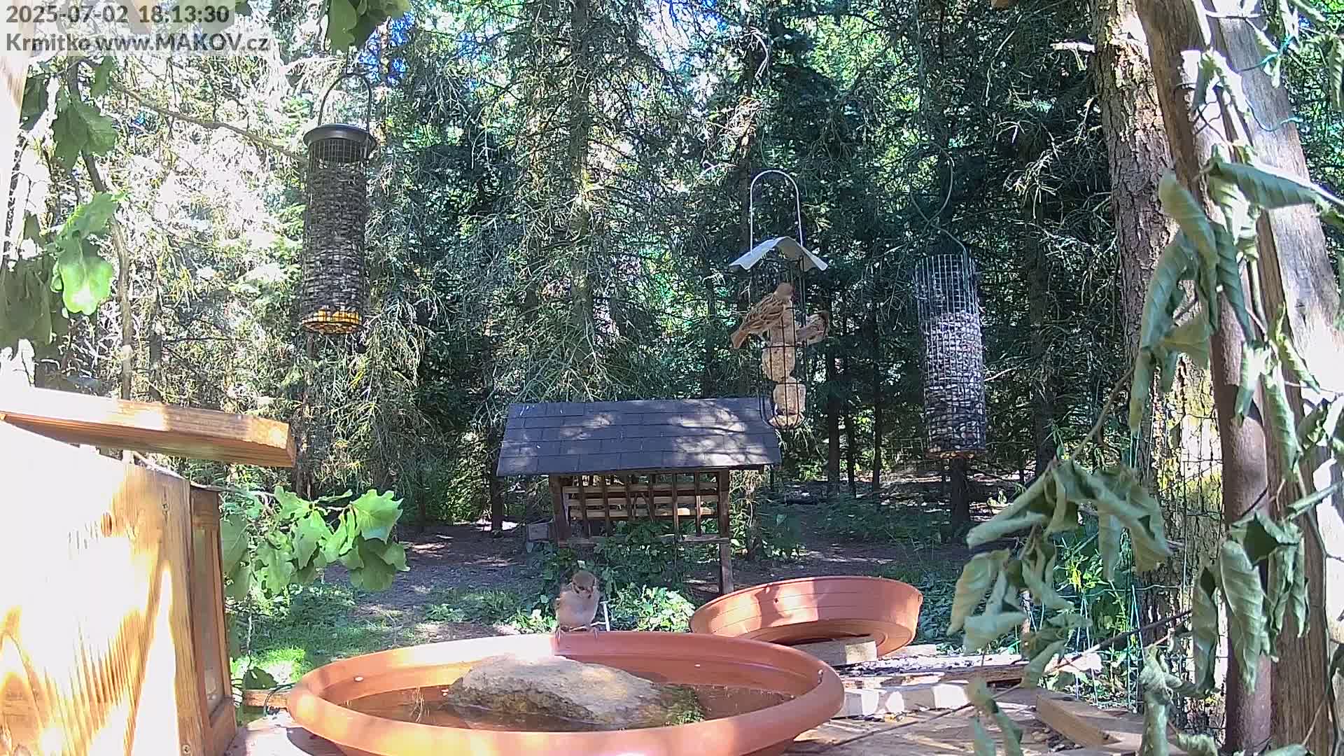 Pisek, Makov Animal Rescue Station Live Cam - Cizova, Pisek, Juhočeský Kraj (South Bohemian), Czechia