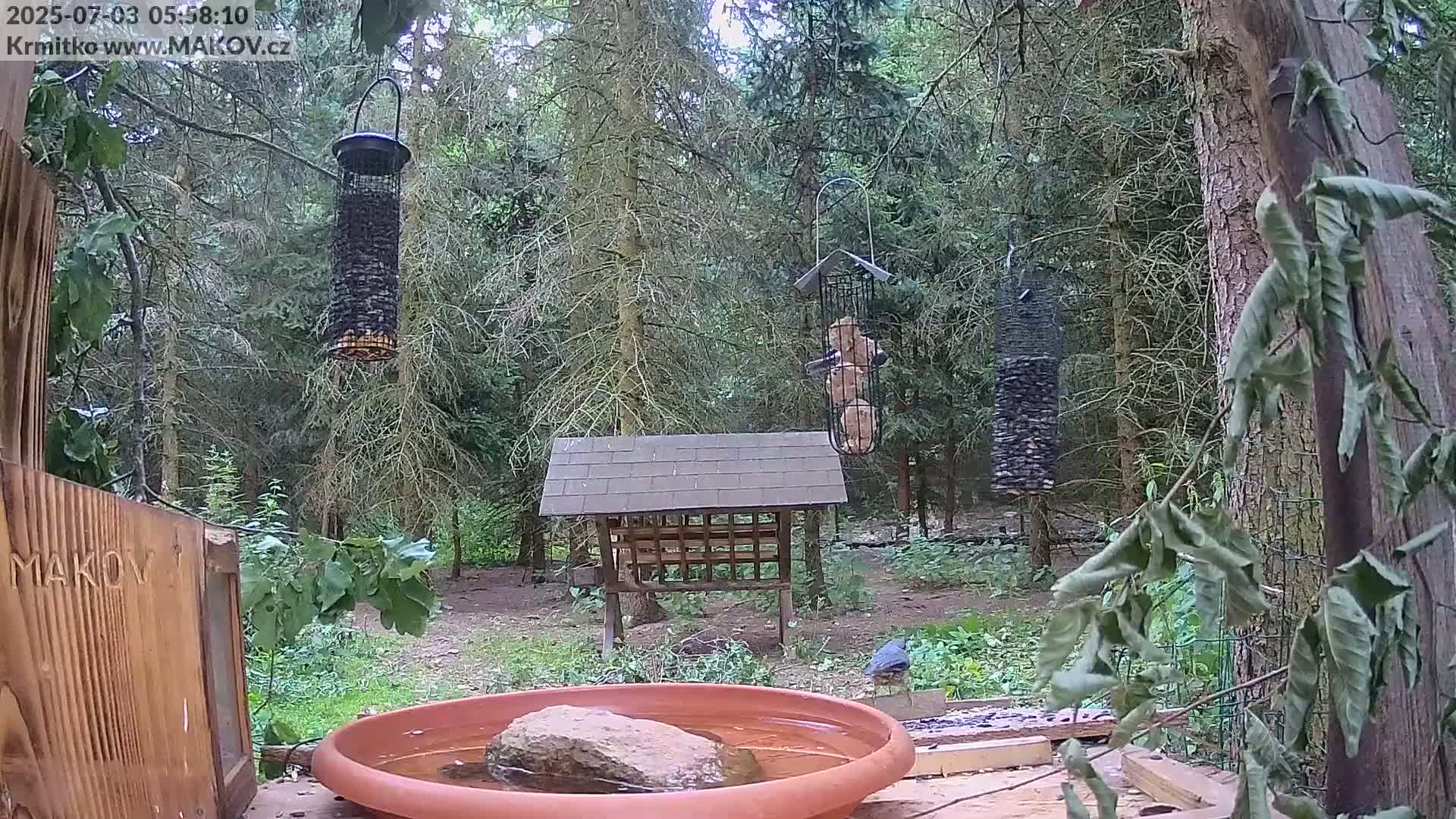 Pisek, Makov Animal Rescue Station Live Cam - Cizova, Pisek, Juhočeský Kraj (South Bohemian), Czechia