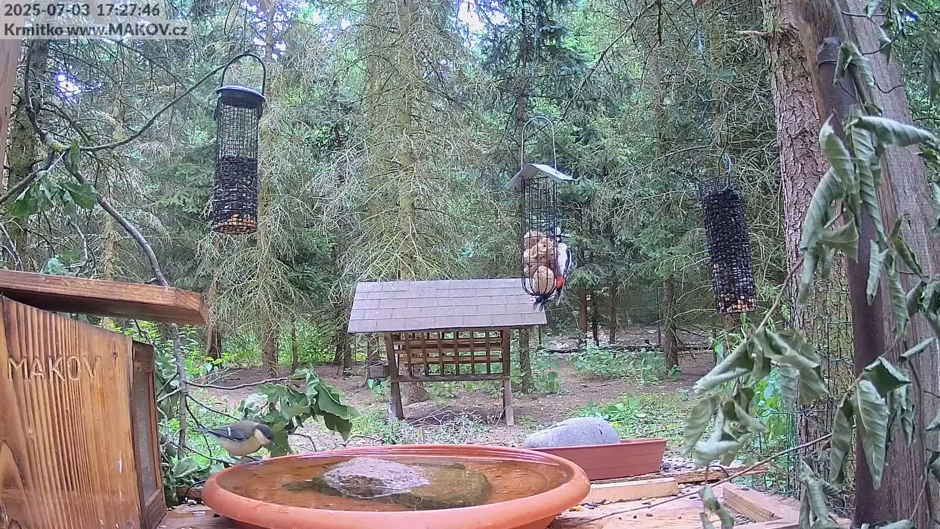 Pisek, Makov Animal Rescue Station Live Cam - Cizova, Pisek, Juhočeský Kraj (South Bohemian), Czechia
