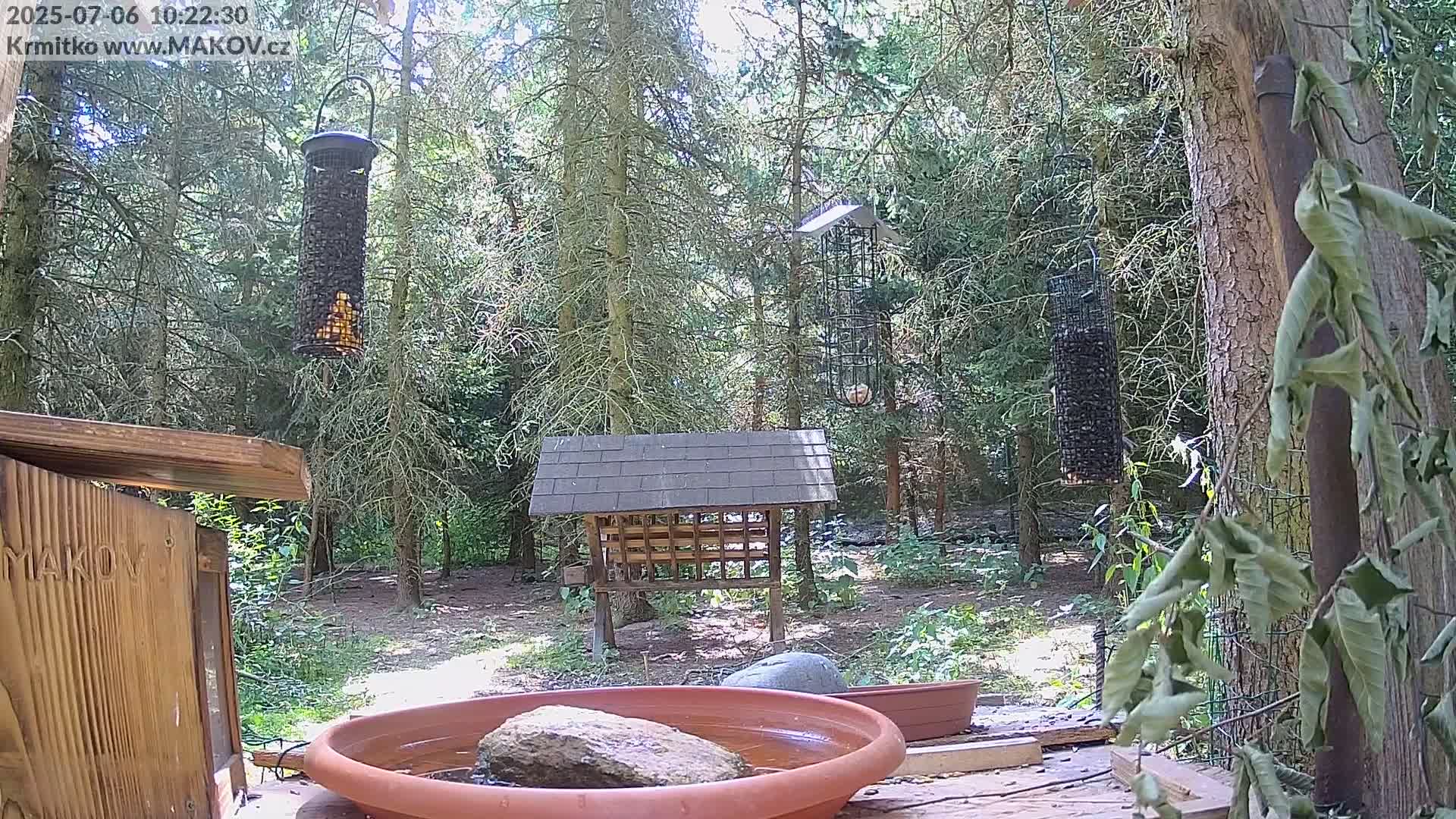 Pisek, Makov Animal Rescue Station Live Cam - Cizova, Pisek, Juhočeský Kraj (South Bohemian), Czechia