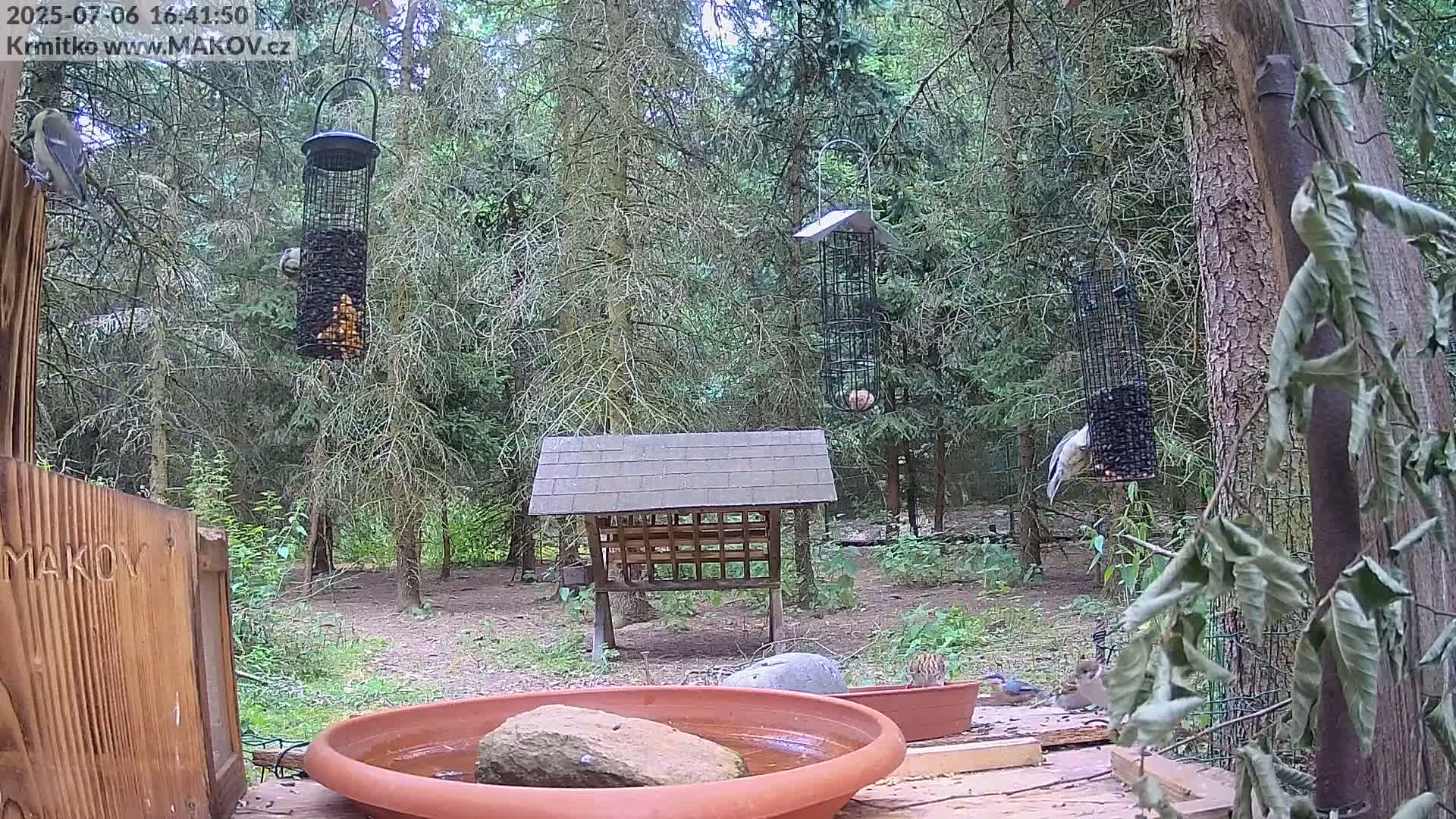 Pisek, Makov Animal Rescue Station Live Cam - Cizova, Pisek, Juhočeský Kraj (South Bohemian), Czechia