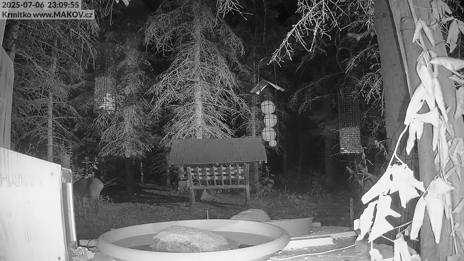Pisek, Makov Animal Rescue Station Live Cam - Cizova, Pisek, Juhočeský Kraj (South Bohemian), Czechia