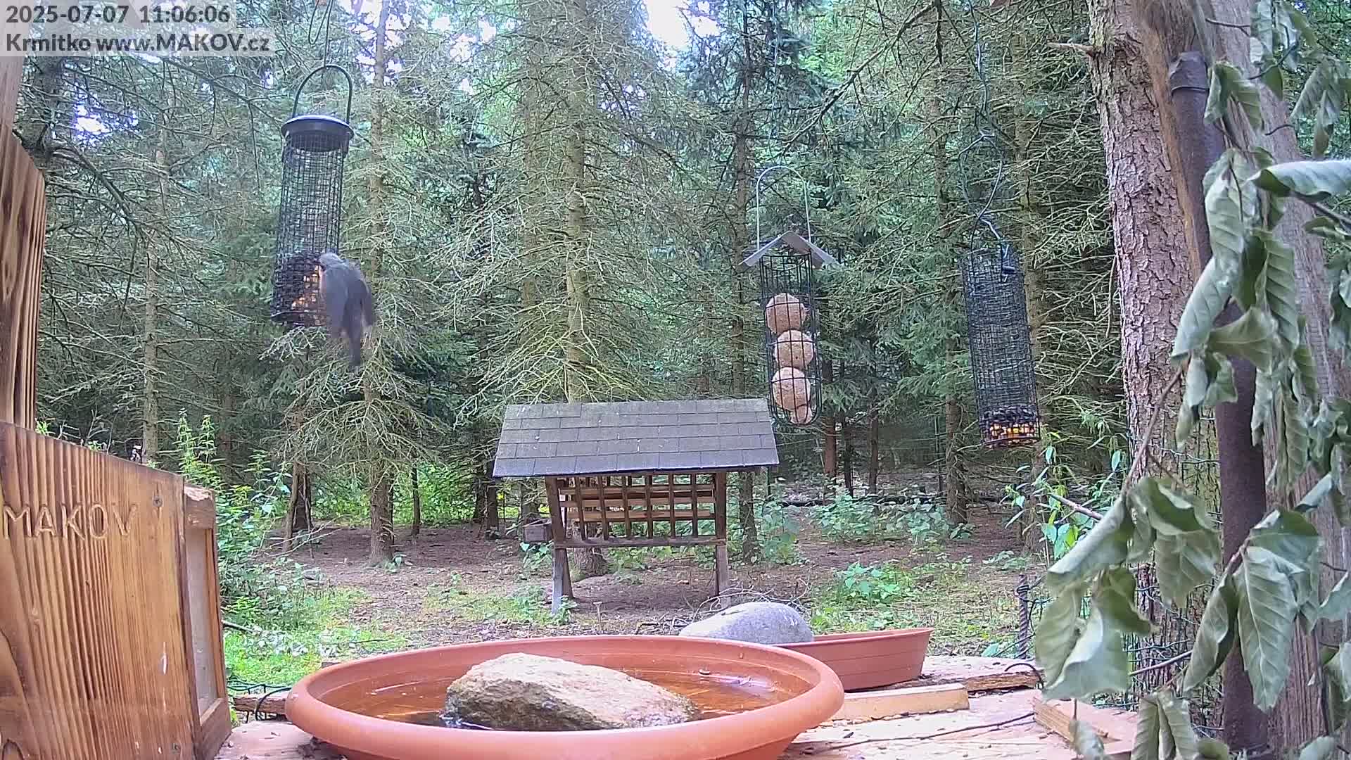 Pisek, Makov Animal Rescue Station Live Cam - Cizova, Pisek, Juhočeský Kraj (South Bohemian), Czechia