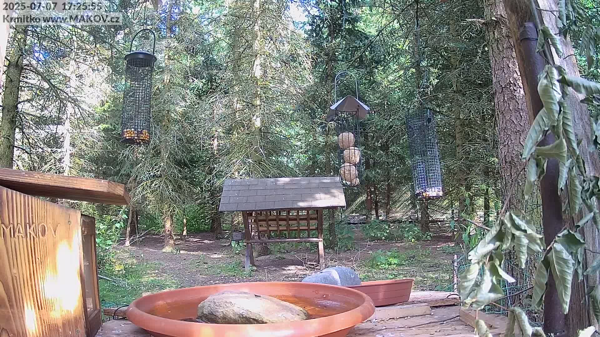 Pisek, Makov Animal Rescue Station Live Cam - Cizova, Pisek, Juhočeský Kraj (South Bohemian), Czechia