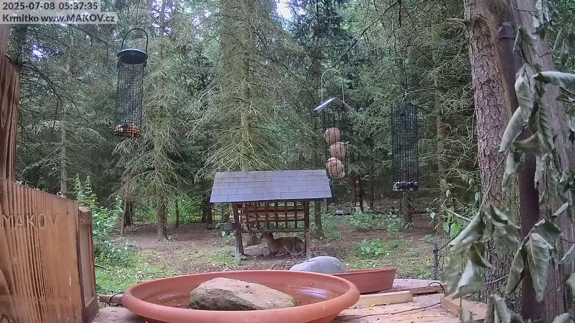 Pisek, Makov Animal Rescue Station Live Cam - Cizova, Pisek, Juhočeský Kraj (South Bohemian), Czechia