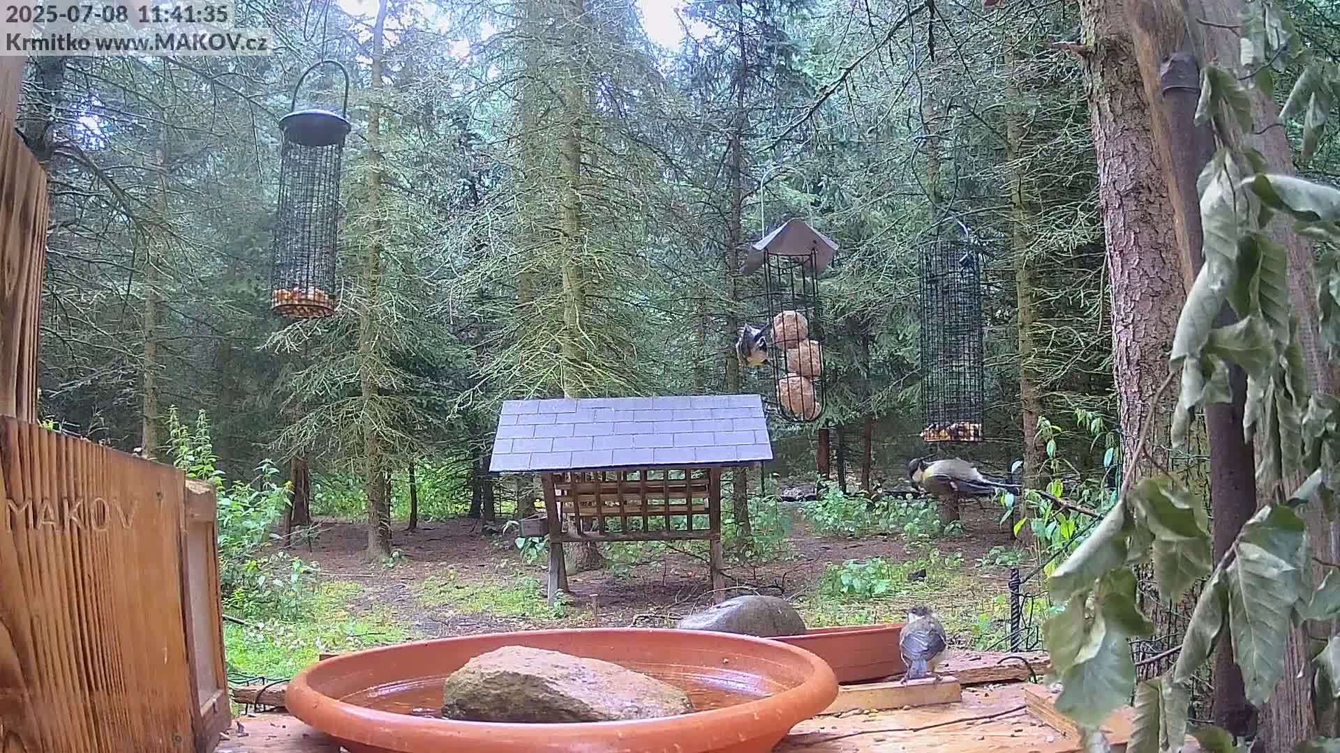 Pisek, Makov Animal Rescue Station Live Cam - Cizova, Pisek, Juhočeský Kraj (South Bohemian), Czechia