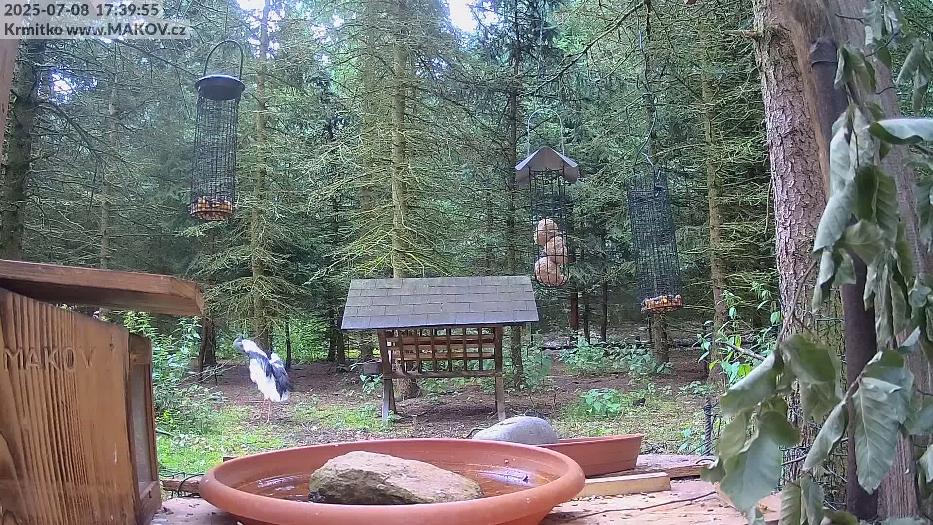 Pisek, Makov Animal Rescue Station Live Cam - Cizova, Pisek, Juhočeský Kraj (South Bohemian), Czechia