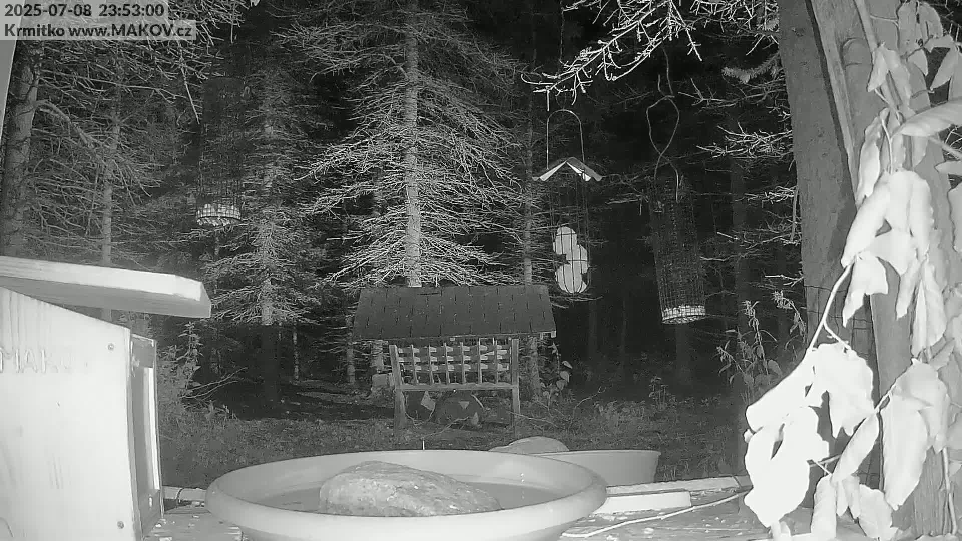 Pisek, Makov Animal Rescue Station Live Cam - Cizova, Pisek, Juhočeský Kraj (South Bohemian), Czechia