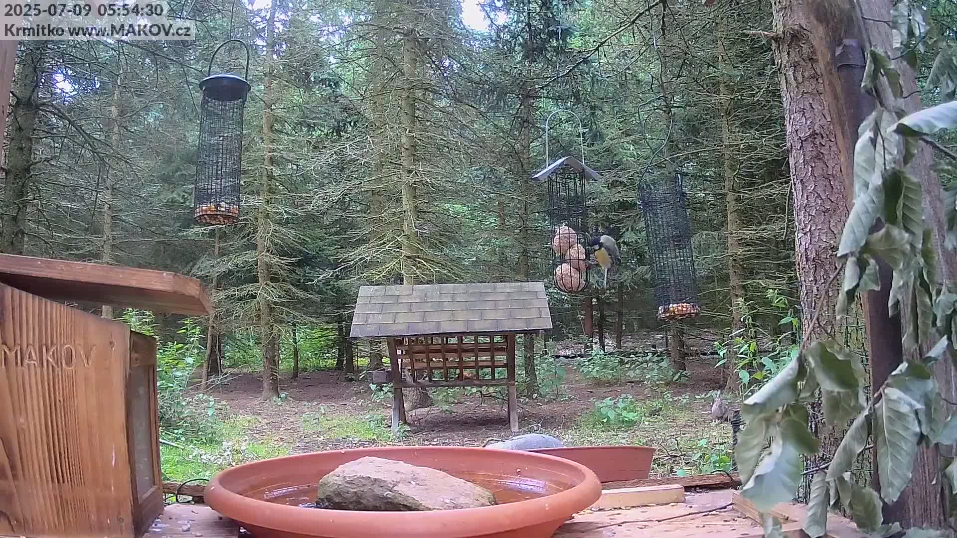Pisek, Makov Animal Rescue Station Live Cam - Cizova, Pisek, Juhočeský Kraj (South Bohemian), Czechia