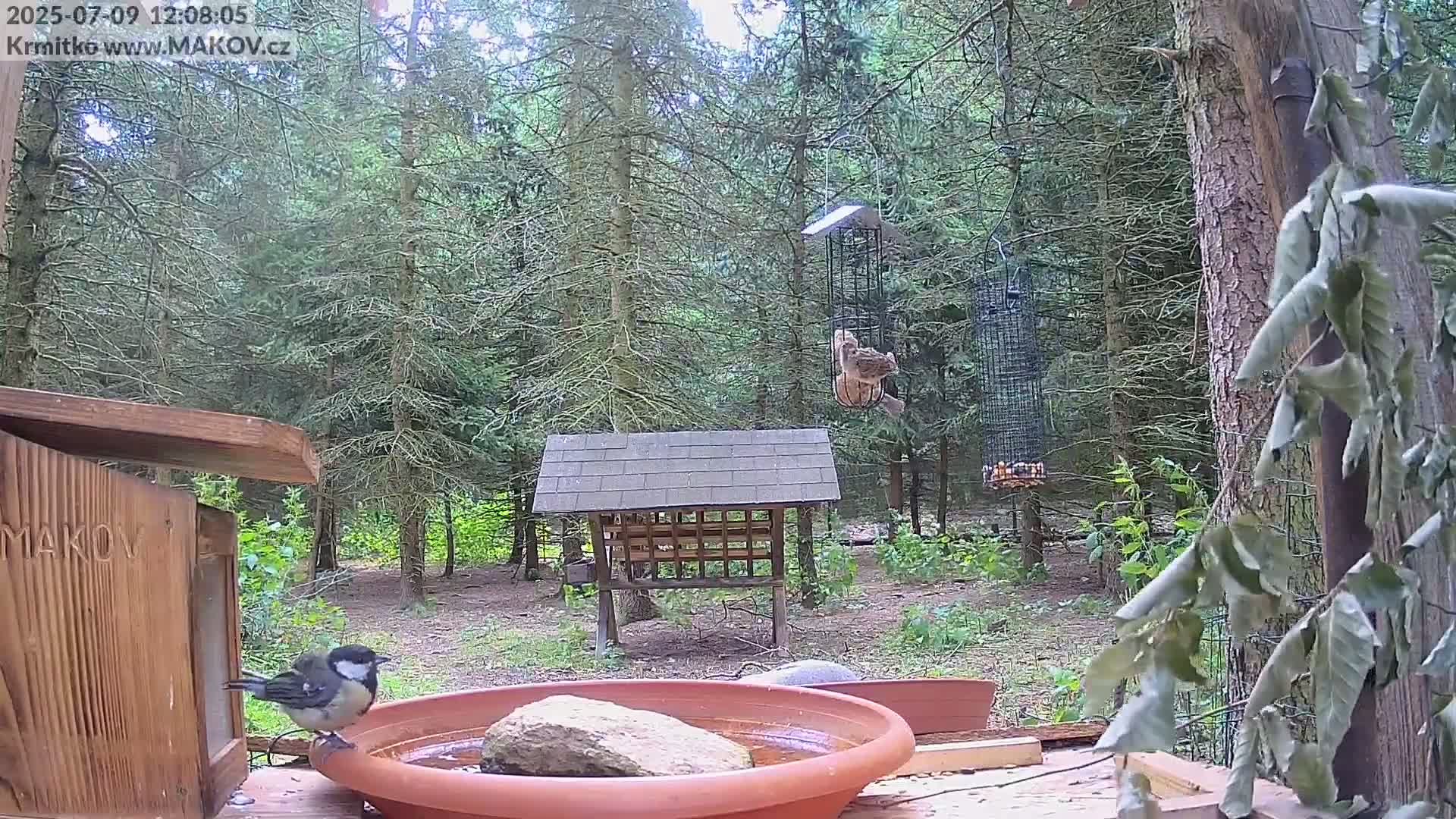 Pisek, Makov Animal Rescue Station Live Cam - Cizova, Pisek, Juhočeský Kraj (South Bohemian), Czechia