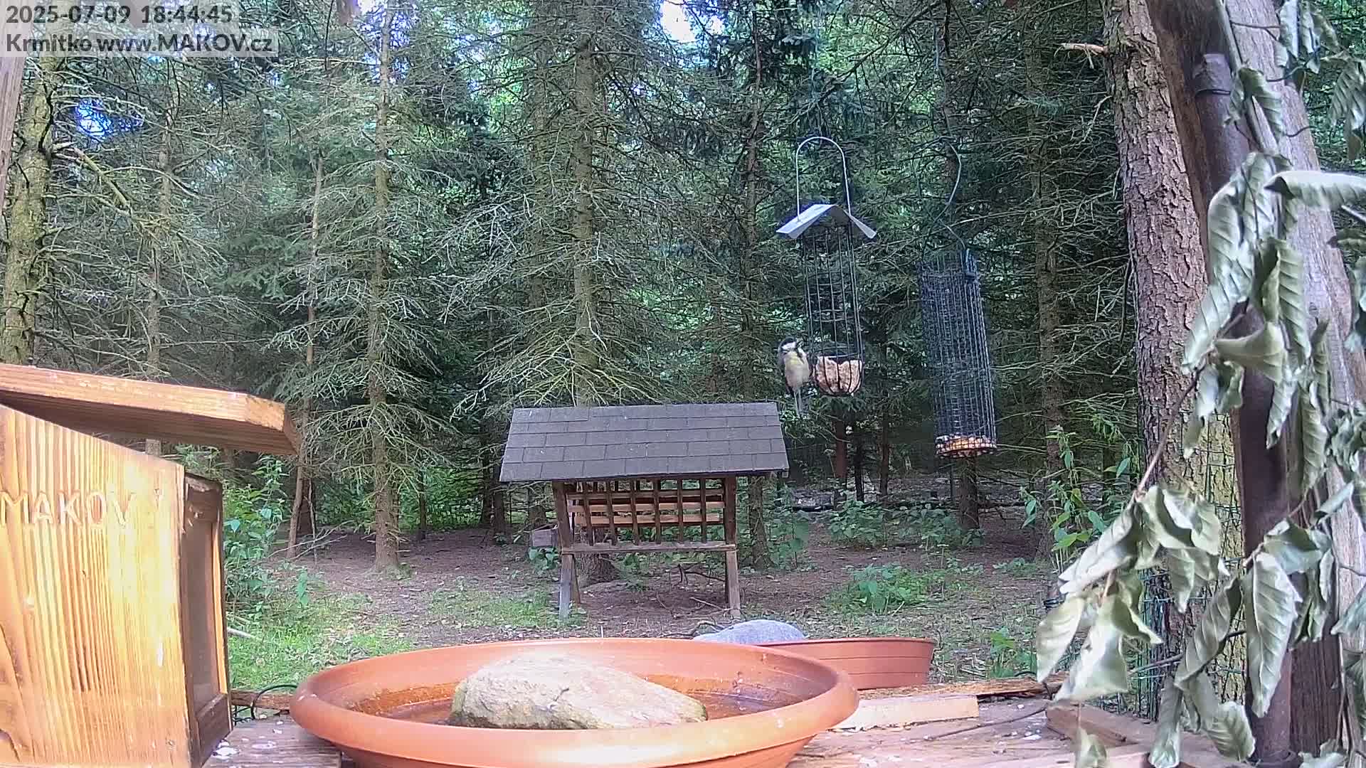 Pisek, Makov Animal Rescue Station Live Cam - Cizova, Pisek, Juhočeský Kraj (South Bohemian), Czechia
