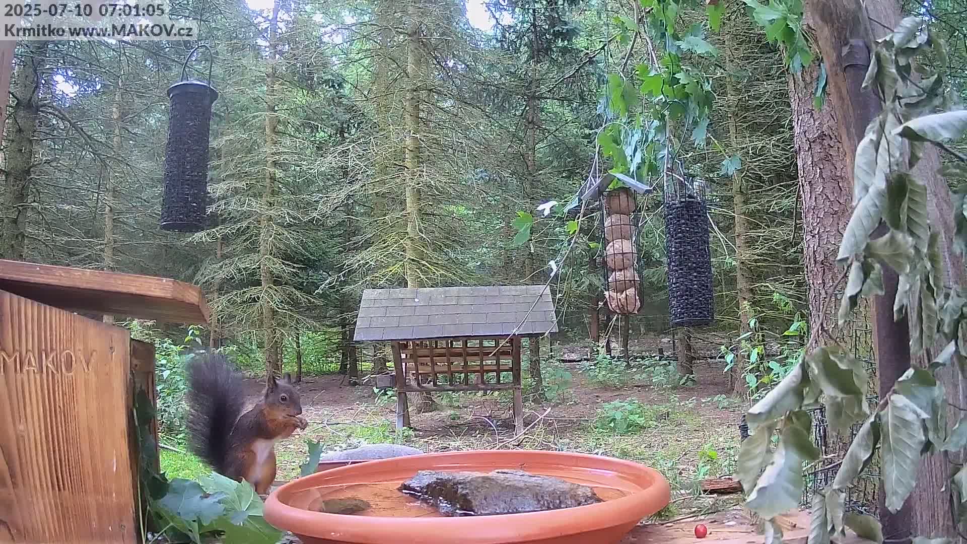 Pisek, Makov Animal Rescue Station Live Cam - Cizova, Pisek, Juhočeský Kraj (South Bohemian), Czechia