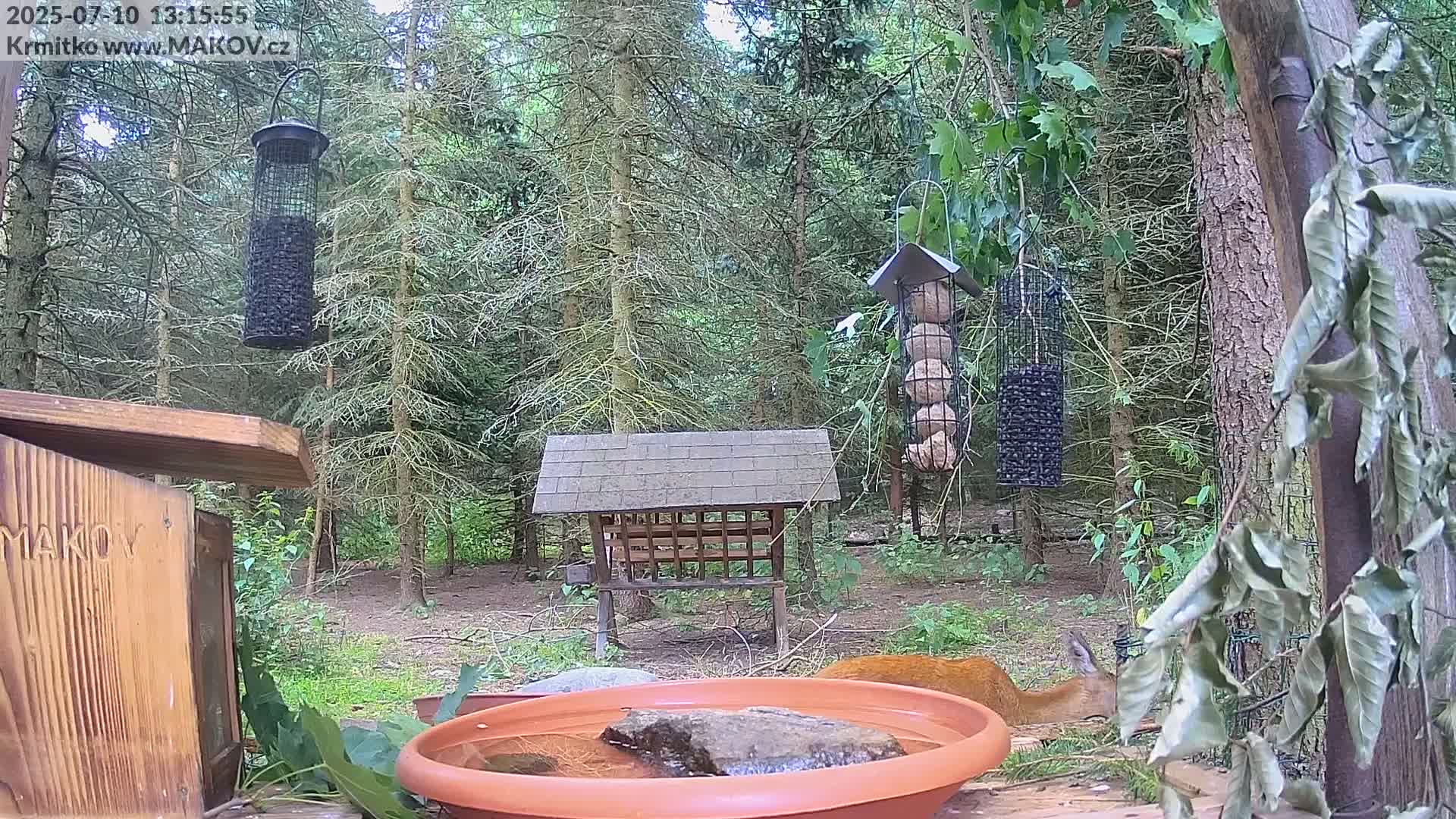 Pisek, Makov Animal Rescue Station Live Cam - Cizova, Pisek, Juhočeský Kraj (South Bohemian), Czechia