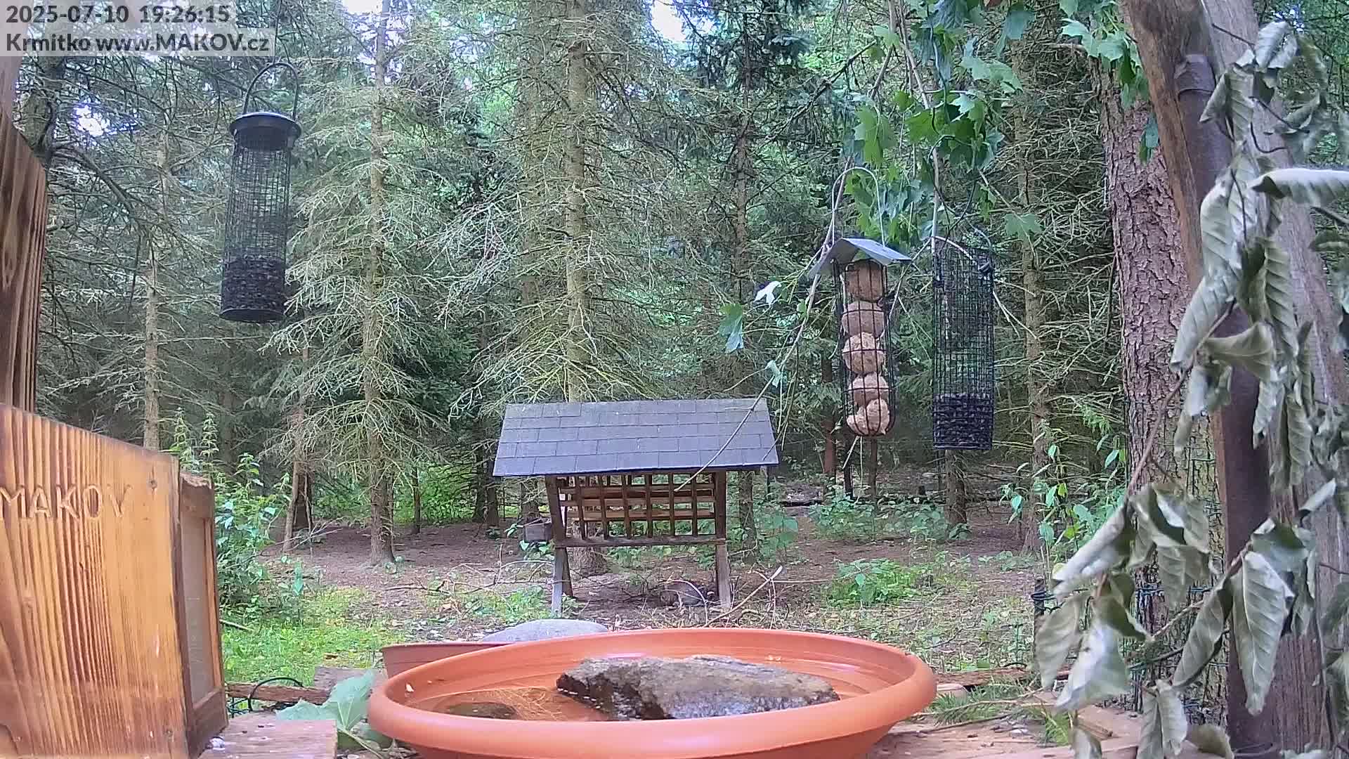 Pisek, Makov Animal Rescue Station Live Cam - Cizova, Pisek, Juhočeský Kraj (South Bohemian), Czechia