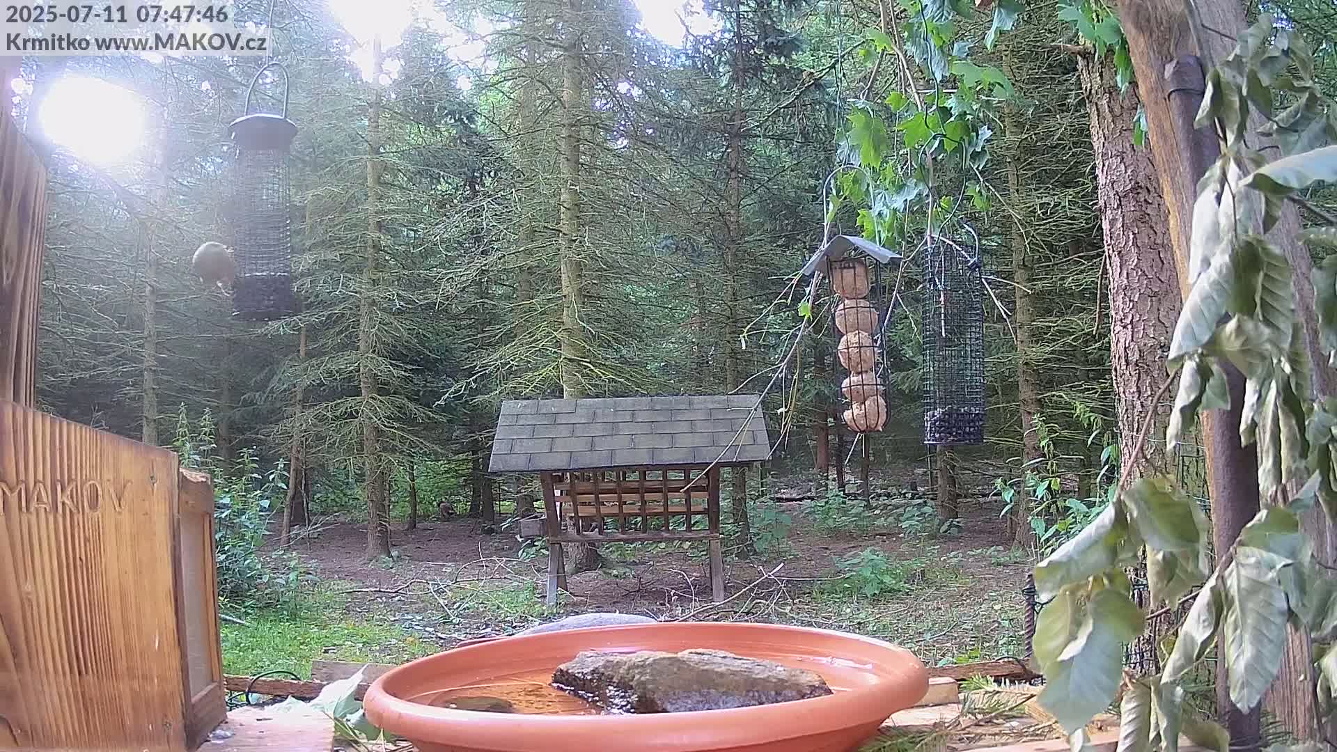 Pisek, Makov Animal Rescue Station Live Cam - Cizova, Pisek, Juhočeský Kraj (South Bohemian), Czechia