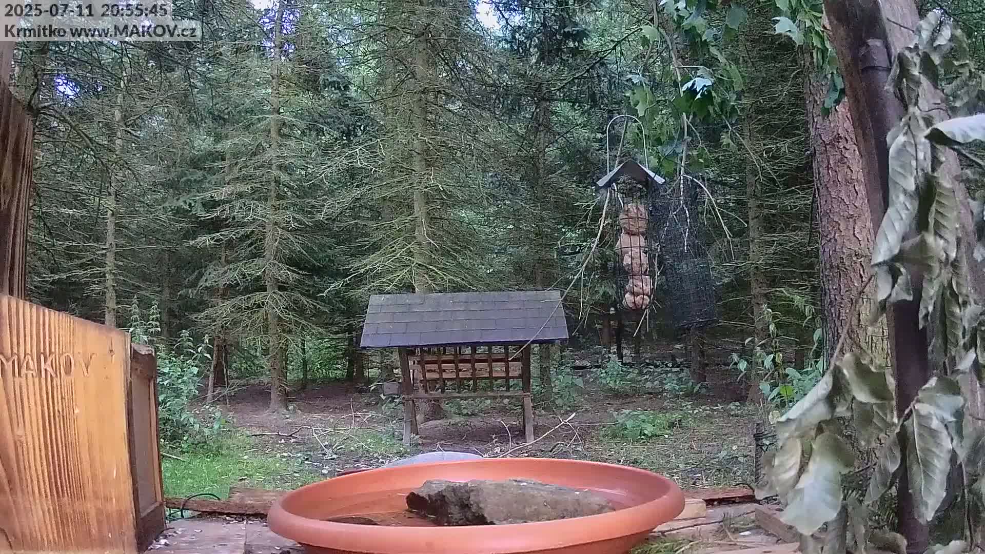 Pisek, Makov Animal Rescue Station Live Cam - Cizova, Pisek, Juhočeský Kraj (South Bohemian), Czechia