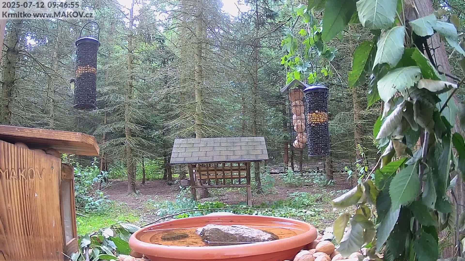 Pisek, Makov Animal Rescue Station Live Cam - Cizova, Pisek, Juhočeský Kraj (South Bohemian), Czechia