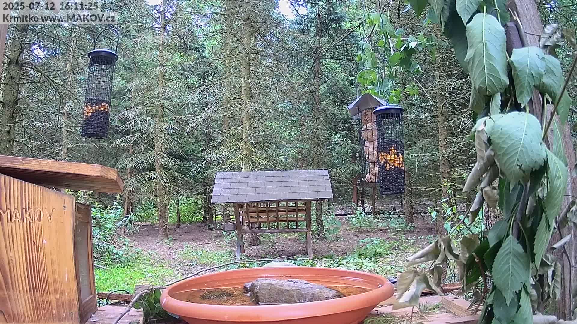 Pisek, Makov Animal Rescue Station Live Cam - Cizova, Pisek, Juhočeský Kraj (South Bohemian), Czechia