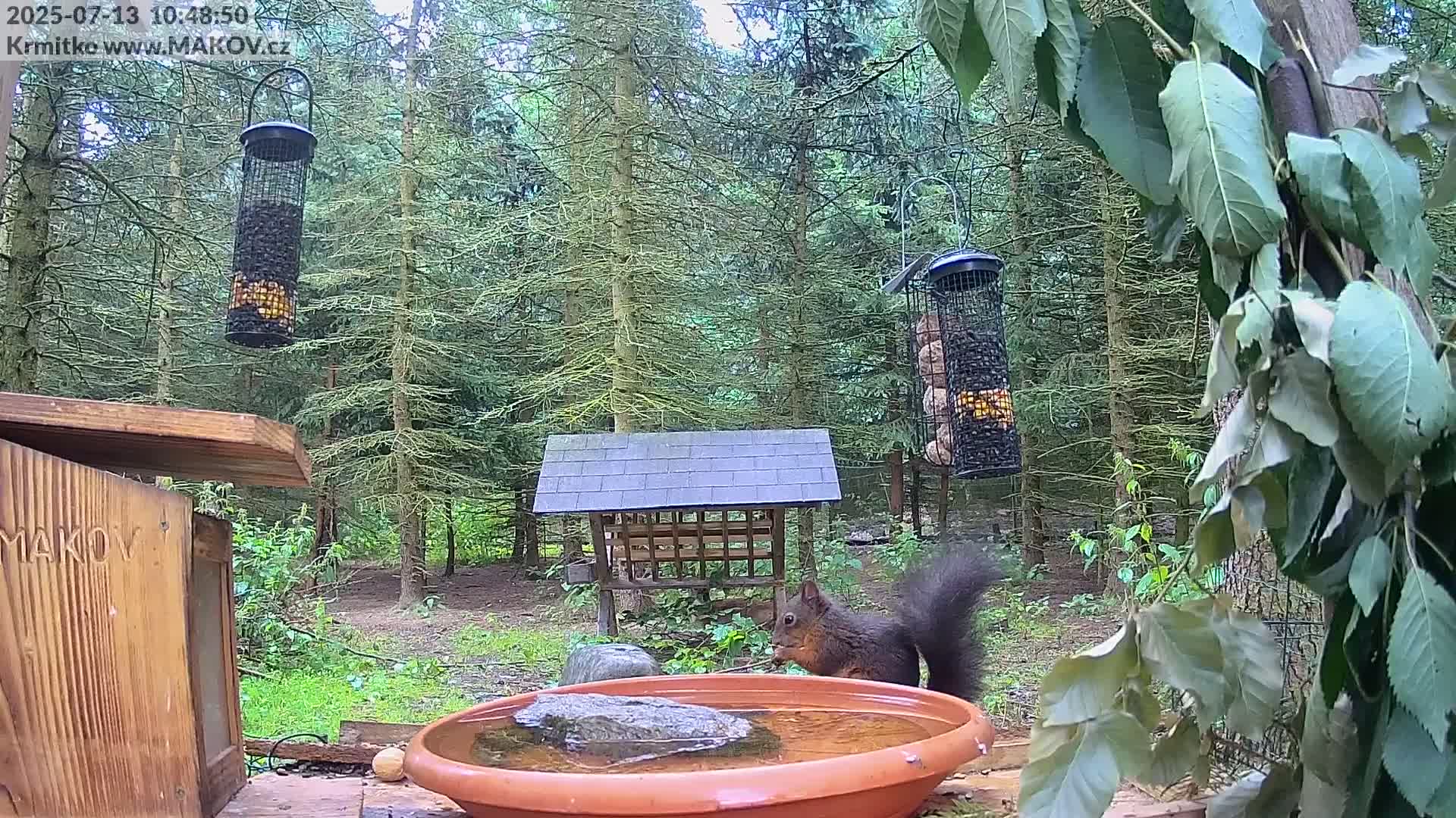 Pisek, Makov Animal Rescue Station Live Cam - Cizova, Pisek, Juhočeský Kraj (South Bohemian), Czechia