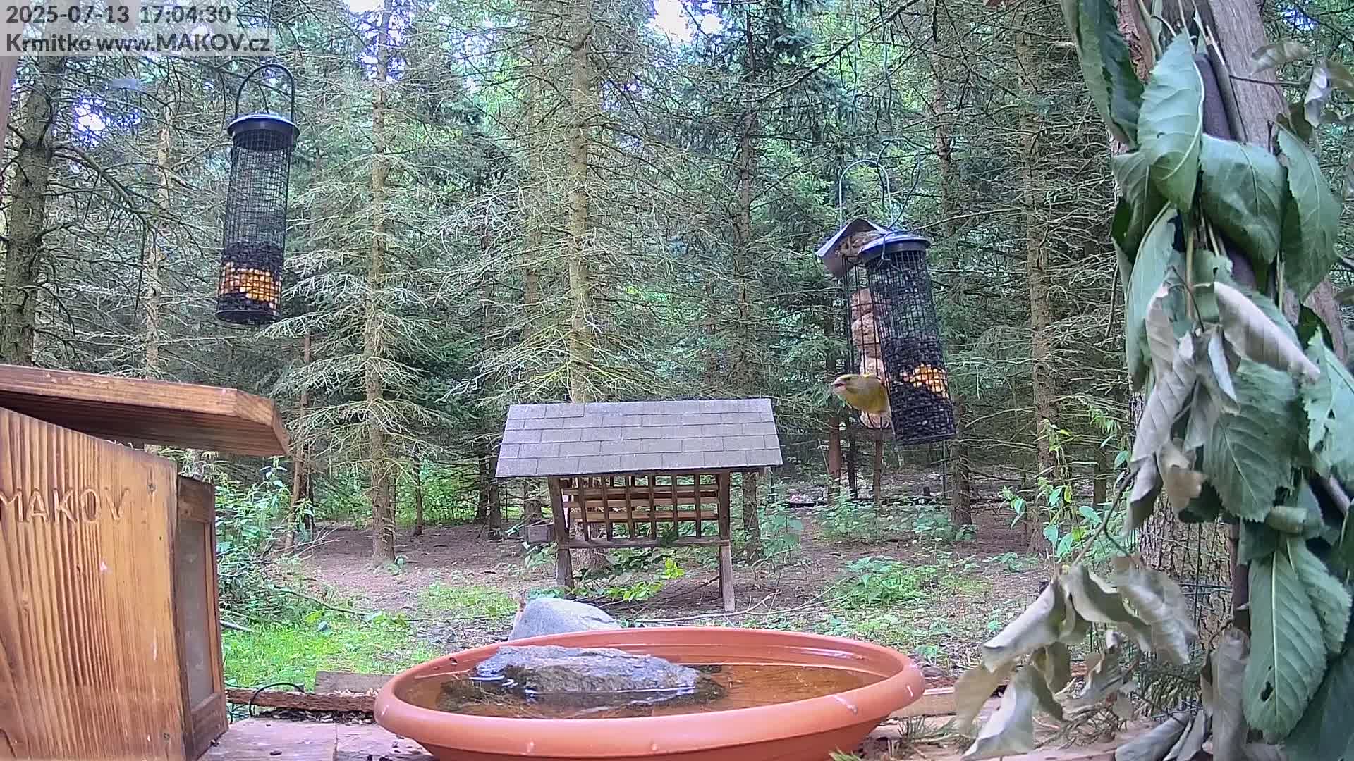 Pisek, Makov Animal Rescue Station Live Cam - Cizova, Pisek, Juhočeský Kraj (South Bohemian), Czechia