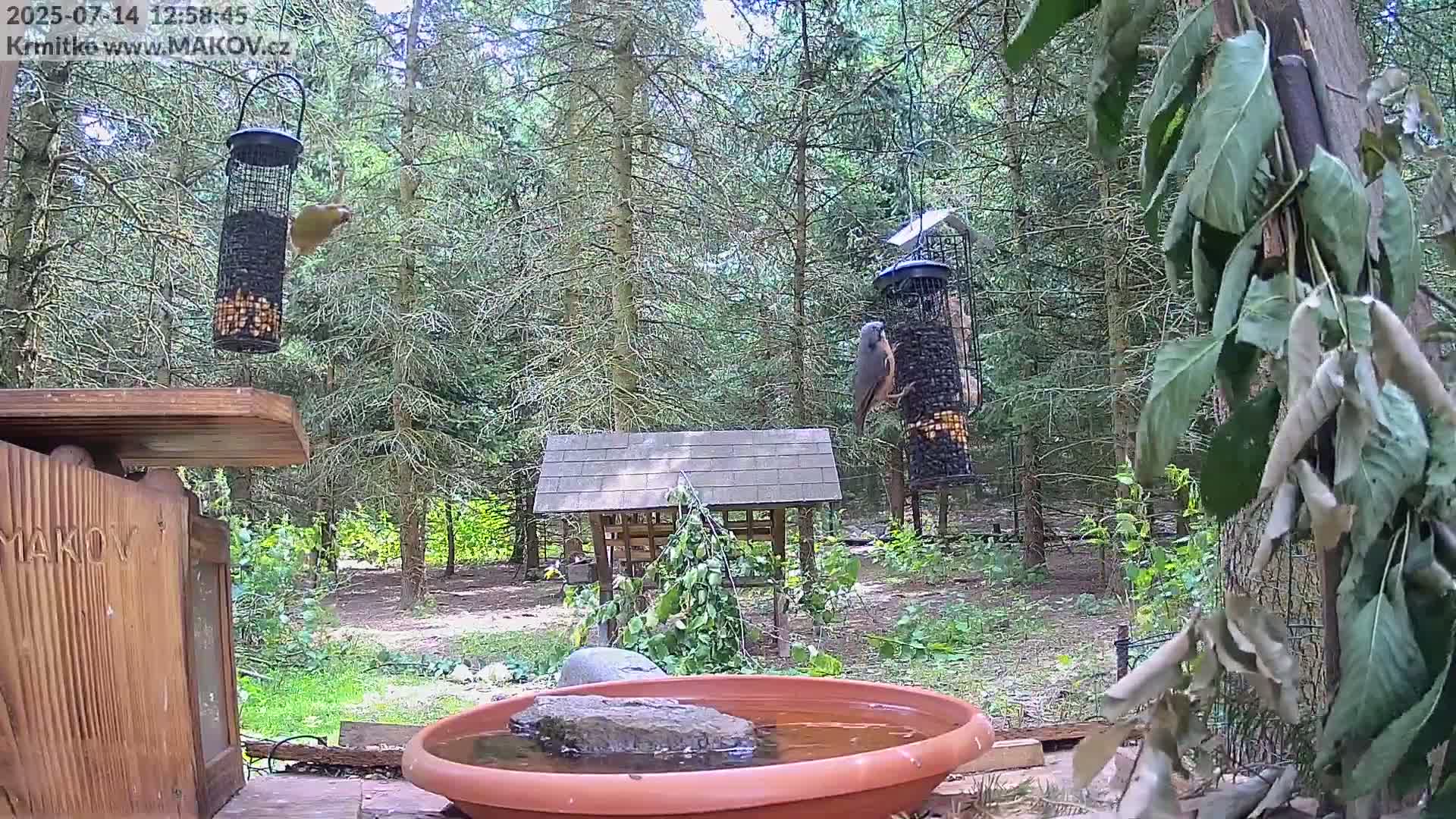 Pisek, Makov Animal Rescue Station Live Cam - Cizova, Pisek, Juhočeský Kraj (South Bohemian), Czechia