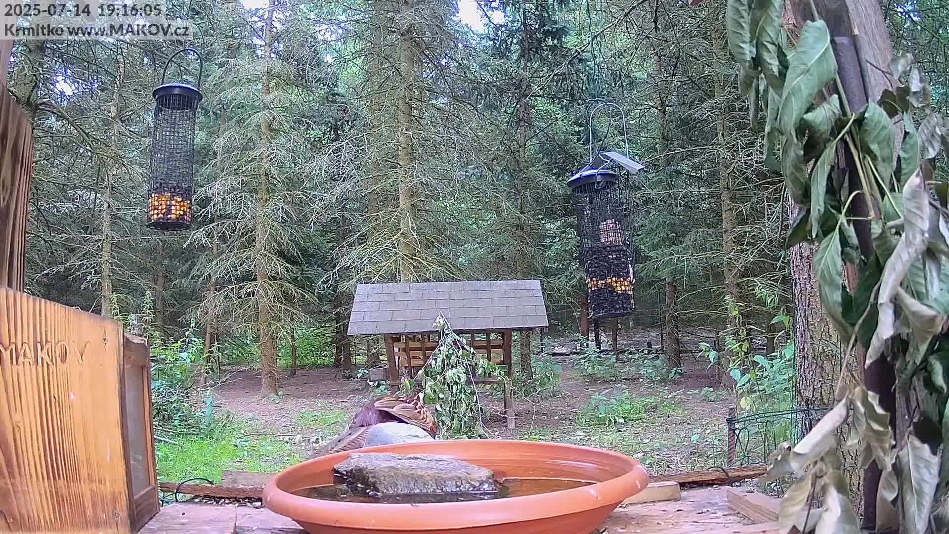 Pisek, Makov Animal Rescue Station Live Cam - Cizova, Pisek, Juhočeský Kraj (South Bohemian), Czechia